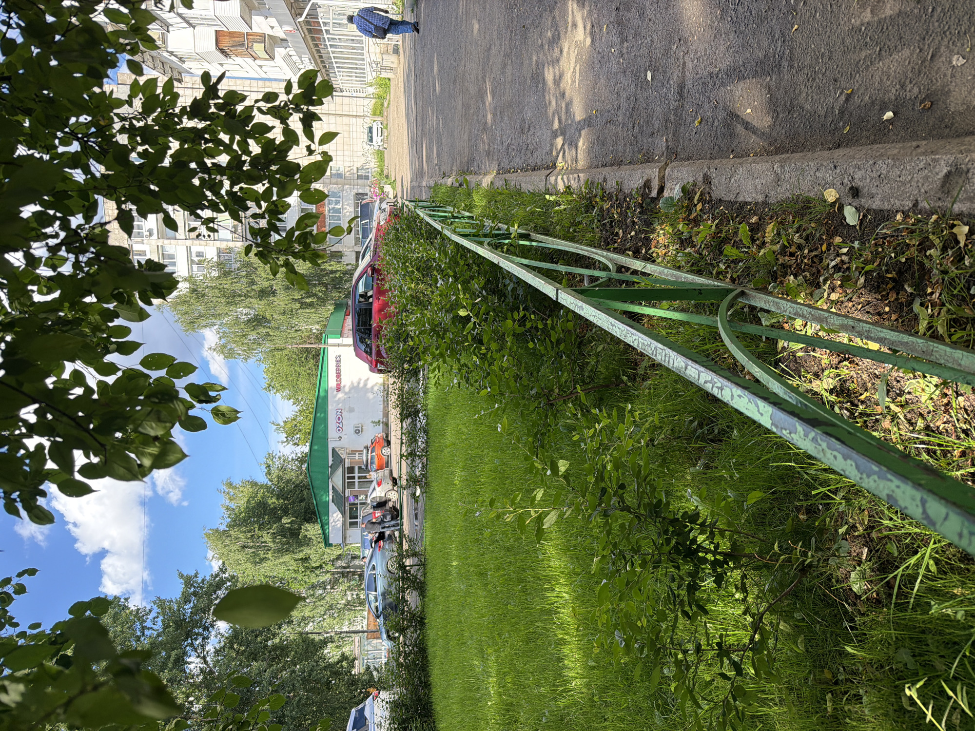 This is a moderately rotated, eye-level, outdoor shot of a sidewalk next to a grassy area with a green metal fence in Chaikovsky, Russia. The sun is shining, casting shadows, suggesting it is daytime. The sky is blue with scattered white clouds, indicating fair weather.
In the background, there are several multi-story apartment buildings with balconies and white facades. A person in a blue plaid shirt and dark pants walks away from the camera on the sidewalk. A red car is parked alongside the sidewalk, behind which is a white building with a green awning and the visible text "WILDERBERRIES" and "OZON". Several other cars are parked near the building.
The foreground is dominated by lush green grass and foliage, with a green metal fence running diagonally across the image. The fence appears to be a low decorative barrier. Fallen leaves are scattered on the ground near the fence, hinting at the possibility of autumn, although the greenery suggests summer. The overall scene depicts a typical urban residential environment on a sunny day.