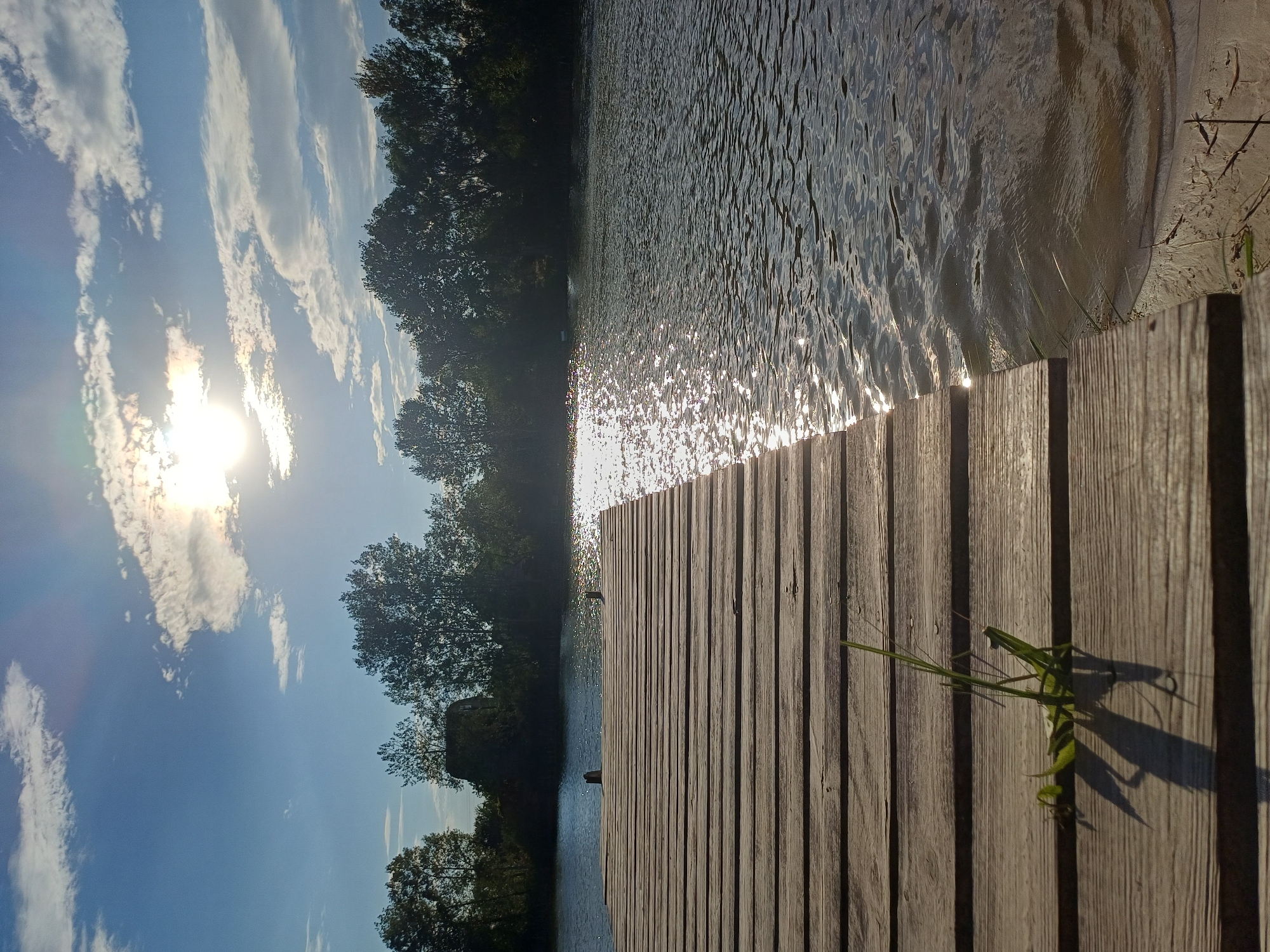 An outdoor, eye-level shot depicts a wooden pier extending into a calm body of water. The sun is high in the sky, casting a bright glare on the water's surface. Trees line the opposite shore, silhouetted against the bright sky. A single blade of grass grows between the planks of the pier in the foreground. The location is identified as Sulymivka, Ukraine.