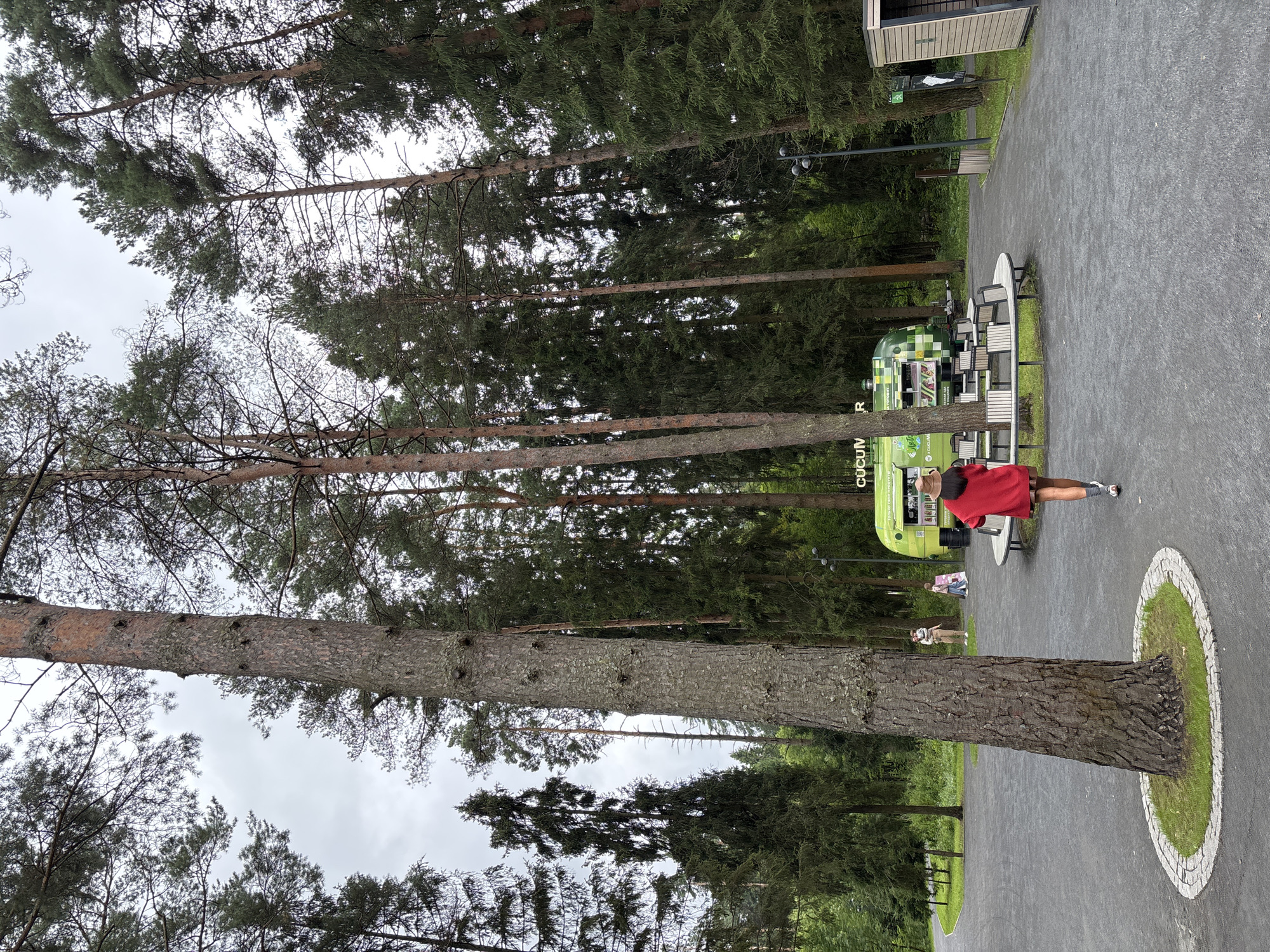 The image depicts an outdoor scene in Pavlovskaya Sloboda, Russia, characterized by a dense forest of tall pine trees and a cloudy sky. In the foreground, a large pine tree trunk with rough bark stands prominently. A person wearing a red sweater and a hat is walking away from the camera towards a green food truck. The food truck has a sign that reads "CUCUMR" and appears to be serving customers. Adjacent to the food truck is a circular seating area with benches. Further in the background, other people can be seen walking and interacting near the food truck. A paved pathway winds through the area, bordered by grass and trees. To the right, there is a small wooden structure, possibly a restroom or information booth. The overall environment suggests a park or recreational area within a wooded setting.