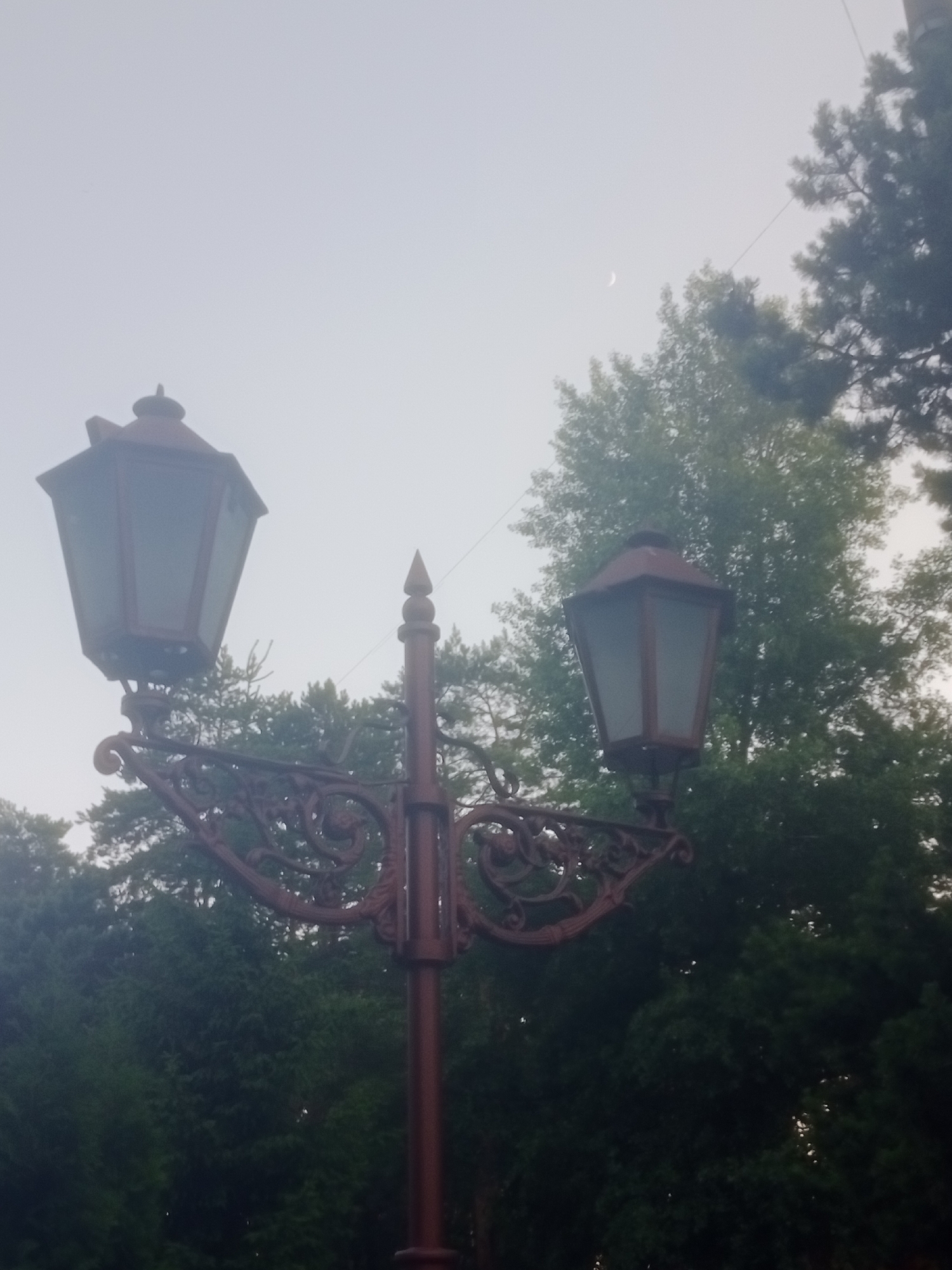 An outdoor scene captured on a misty or overcast day shows an ornate, red metal lamppost with two lamp fixtures. The lamppost has decorative scrolled arms supporting the lights. The lamp fixtures themselves are hexagonal with opaque panes. Lush green trees form a dense backdrop, and a faint crescent moon is visible in the pale sky. The image does not contain any people or visible actions. This scene is likely located in Horishni Plavni, Ukraine, given the context.