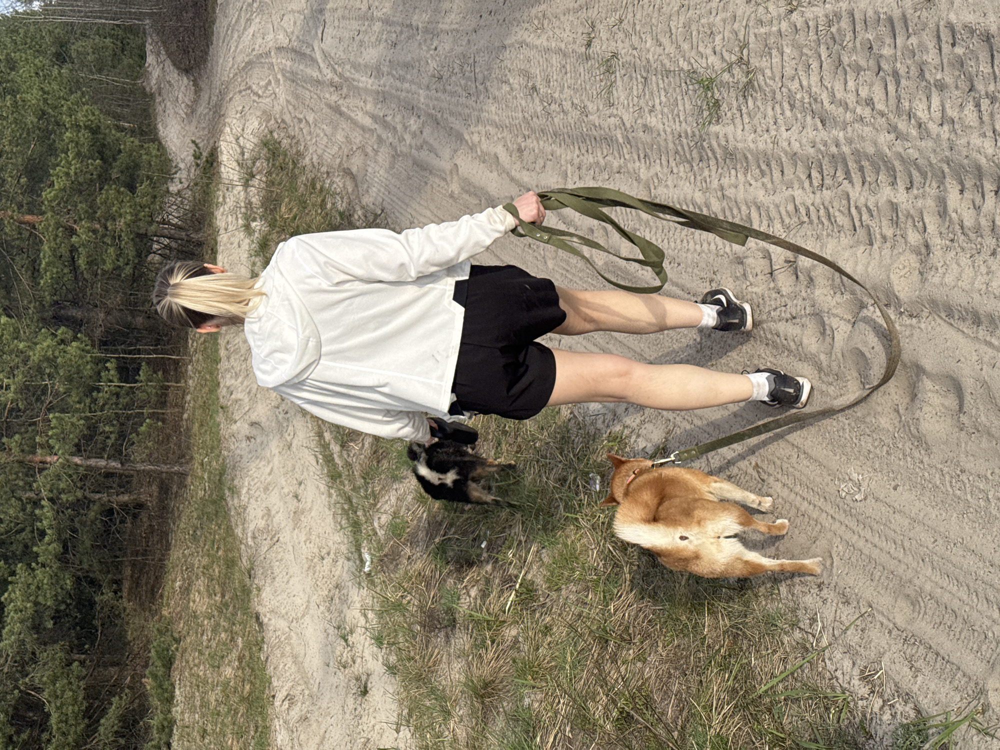 A woman with blonde hair is walking two dogs on a sandy path. She is wearing a white hooded sweatshirt and black shorts with black and white shoes. She holds a green leash in her right hand. One dog is brown and white, lying on its side, and the other is black and white. The path is flanked by grass and trees. The location is likely a sandy area near a forest in Nizhny Novgorod, Russia.