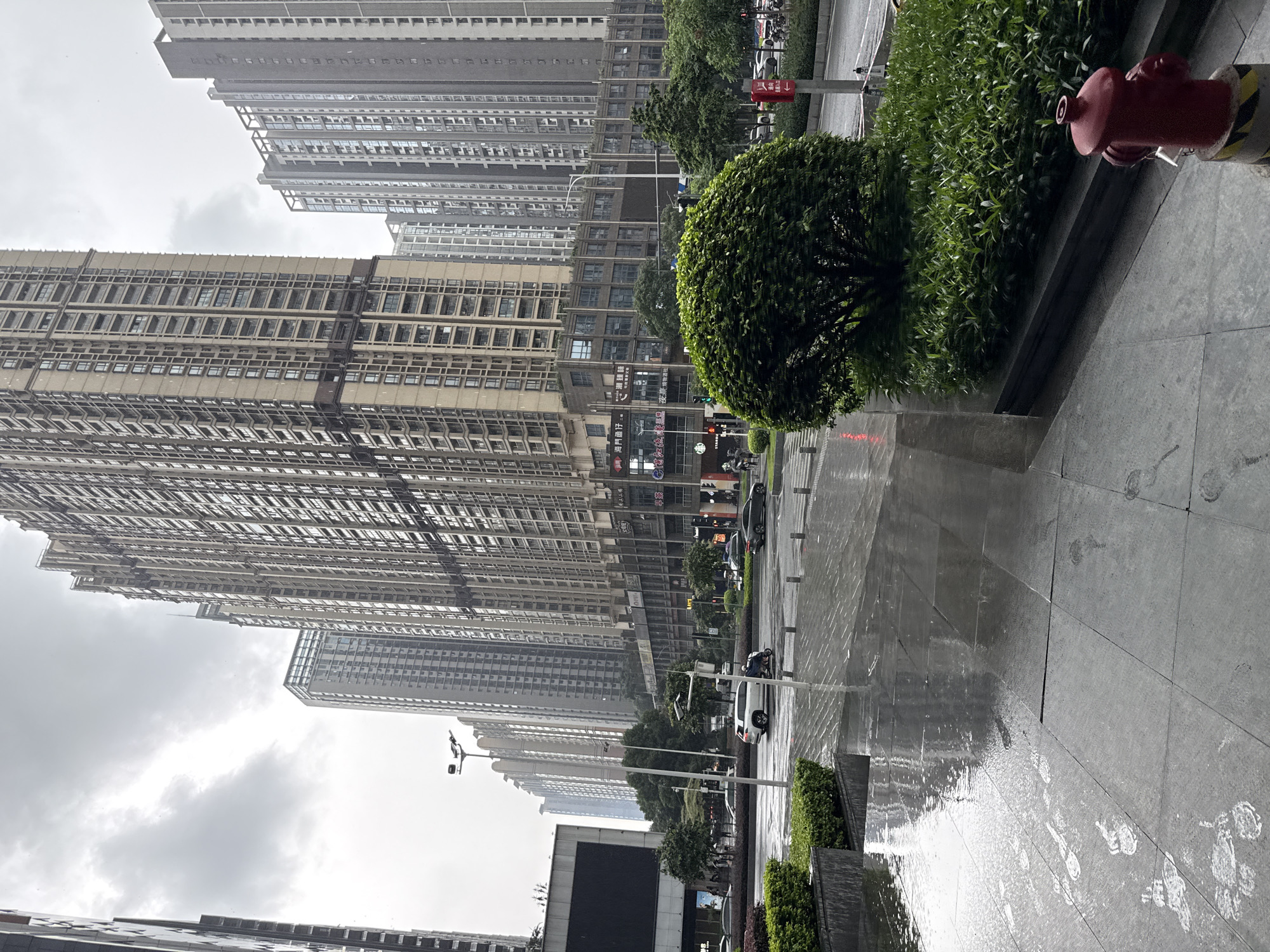 This image captures a city street scene in Tianhe District, China, on a cloudy and wet day. The foreground shows a wet paved sidewalk with reflections of the surrounding buildings. A red fire hydrant is visible on the right side of the sidewalk, next to a lush green hedge. Beyond the sidewalk, a street with traffic is depicted. Several cars and a scooter are seen on the road. On the left side of the street, a large building with a dark screen is present, while towering residential buildings dominate the background on the right. These buildings are tall and appear to be modern high-rises with numerous windows. Trees and some commercial signage are also visible along the street. The overall atmosphere is that of an urban environment experiencing inclement weather.