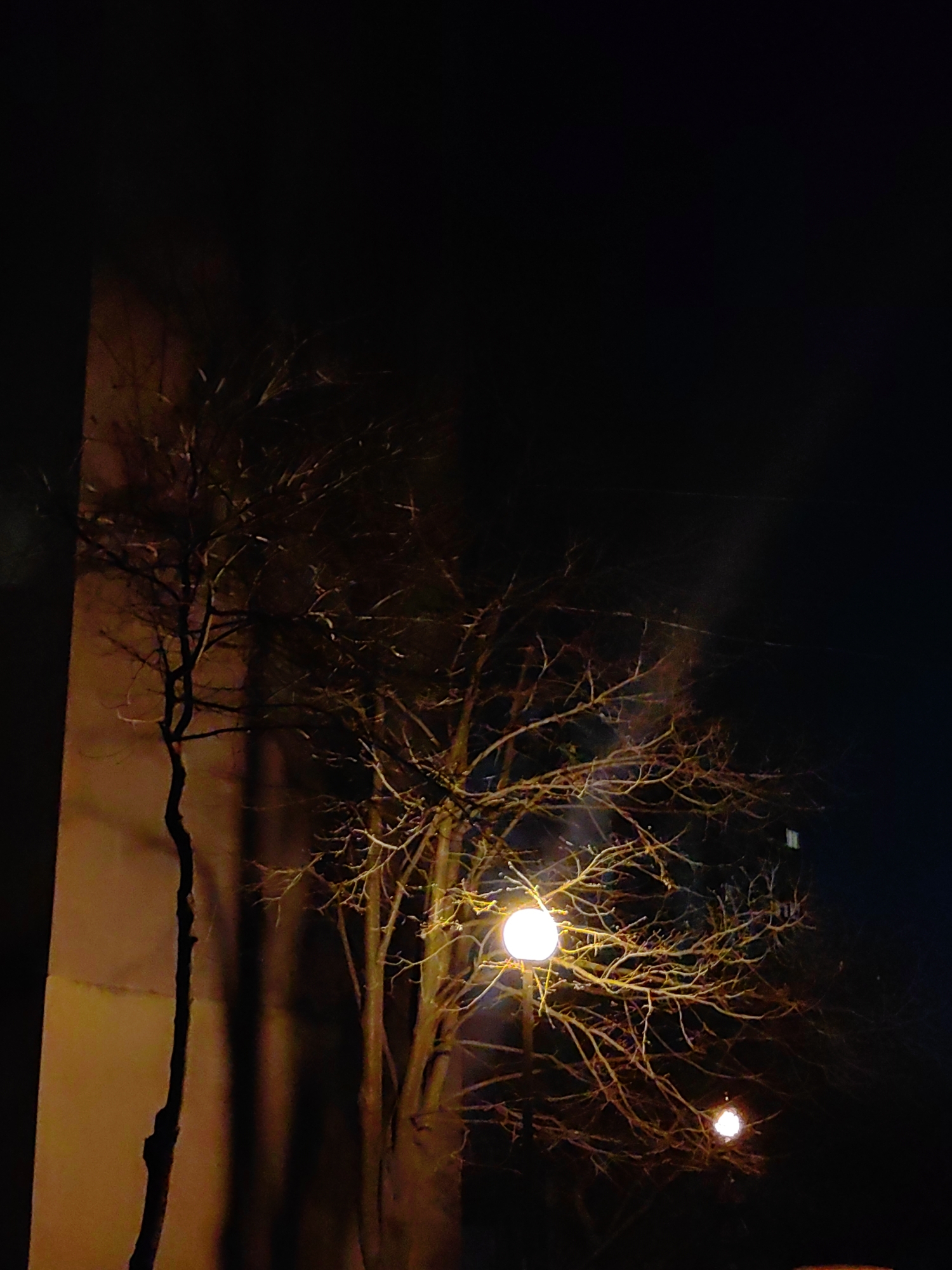 At night, an illuminated tree stands near a building in Sofia, Bulgaria. Two spherical lamps, one brighter than the other, shine within the tree's branches. The building's wall is partially visible on the left. The sky is dark. The branches of the tree are barren. The immediate environment appears dark with faint light extending from a small window.