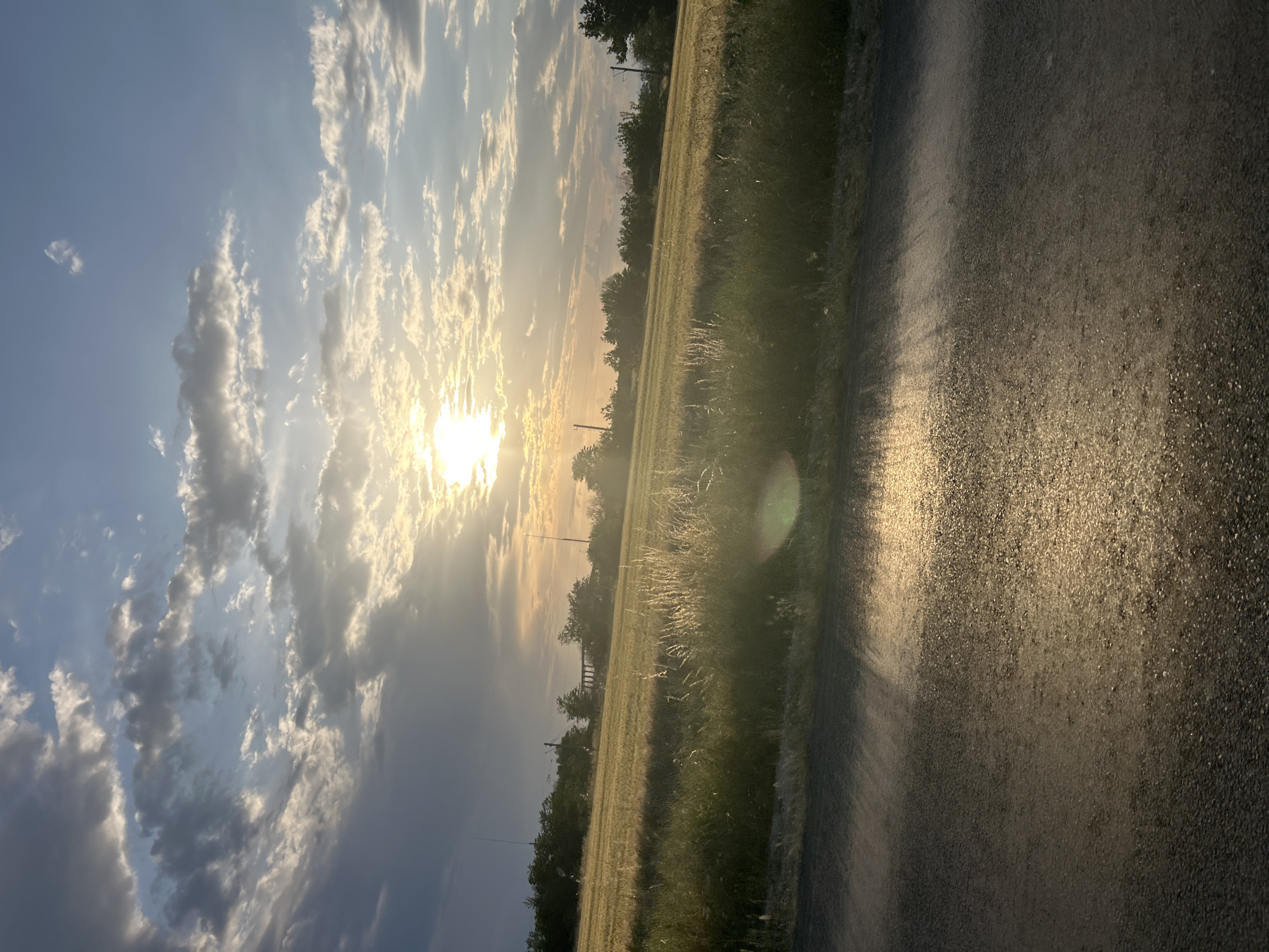This media file captures a rural landscape bathed in the warm light of either sunrise or sunset. The scene is dominated by a vast sky with scattered clouds, some brightly illuminated by the low-lying sun on the left, while others are darker and more shadowed.
A bright, intense sunburst is prominent on the left side, partially obscured by clouds, casting a golden glow across the sky and landscape. Below the horizon, a wide field of tall grass or crops stretches across the midground, showing hues of green and gold from the ambient light. A line of distant trees forms a darker silhouette against the horizon, with faint glimpses of utility poles or power lines barely visible among them.
To the right, a paved or gravel road occupies the foreground and extends into the distance, reflecting the golden light. A distinct circular lens flare and streaks of light are visible on the road surface and in the lower right portion of the image, indicating direct light hitting the camera lens.
No human activity or individuals are present in the image. The time of day is clearly either early morning or late afternoon, given the low position of the sun and the warm, elongated shadows. The weather appears clear with some cloud cover. There is no visible text. The overall impression is one of serene natural beauty in a rural setting, consistent with areas around Graf Ignatievo, Bulgaria.