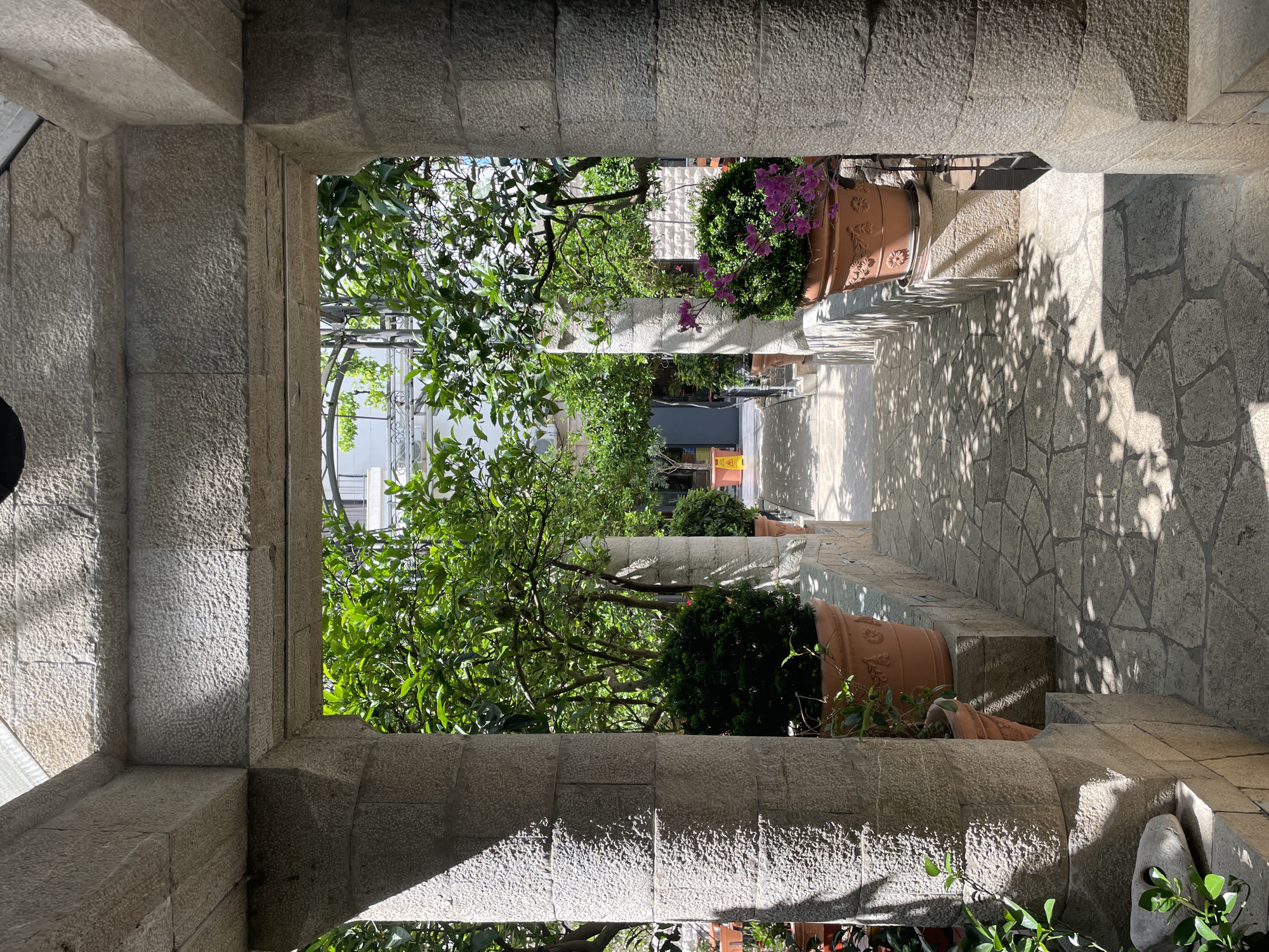 The image shows a narrow stone passageway in Bar, Montenegro, viewed through a stone archway. The passageway is lined with large terracotta pots containing plants and flowers. The floor is paved with irregular stone slabs. The lighting suggests it is daytime, with shadows cast by trees. No people are visible in the scene.