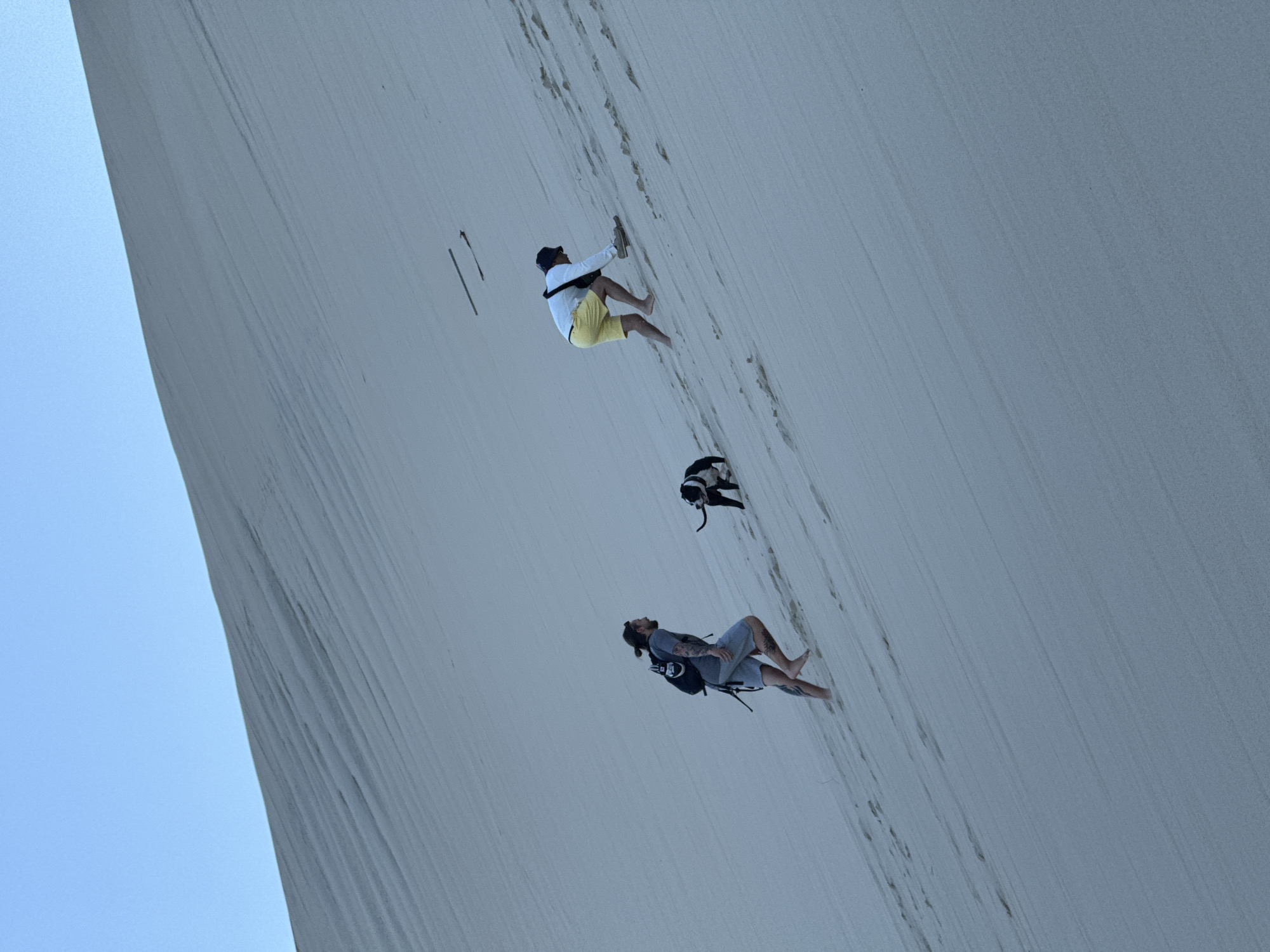 The image depicts a sand dune in the Dune of Pilat, La Teste-de-Buch, France. Two individuals and a dog are ascending the steep sandy slope. The person on the left, a male with a backpack, is walking upwards with his torso slightly angled forward. The person on the right, also wearing a backpack, is in a more crouched position, using their hands to assist in their climb. The dog, a black and white pitbull-type breed, is positioned between the two individuals, walking upwards. The sand dune exhibits distinct horizontal striations caused by wind patterns. The sky above is a clear, pale blue.