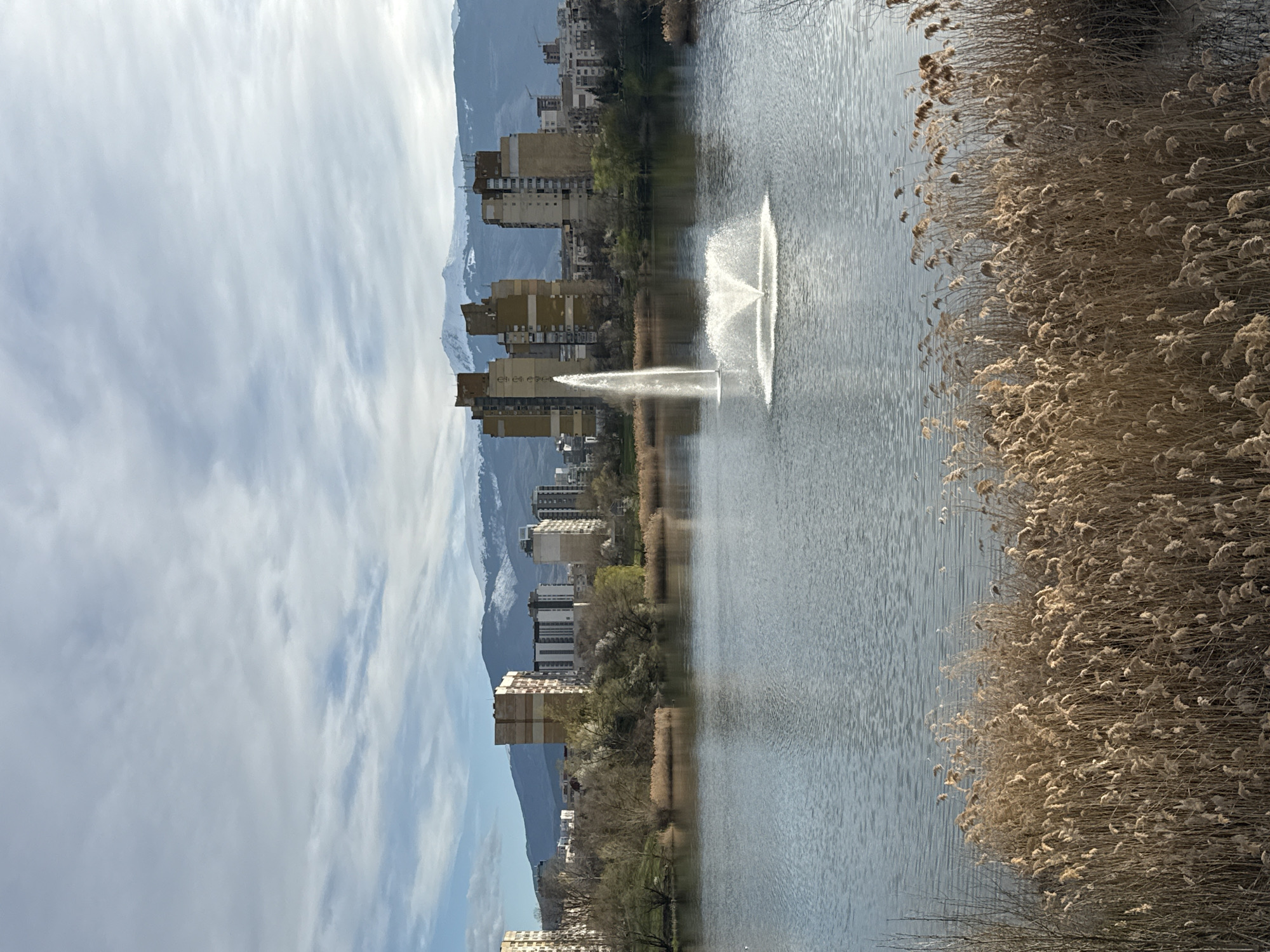 The image depicts a lake in Sofia, Bulgaria, likely Lake Ariana, with a fountain spraying water in the center. Tall buildings line the shore, and the Vitosha Mountains are visible in the background. Reeds grow along the edge of the lake, near the photographer. The sky is cloudy. There are no people clearly visible in the image.