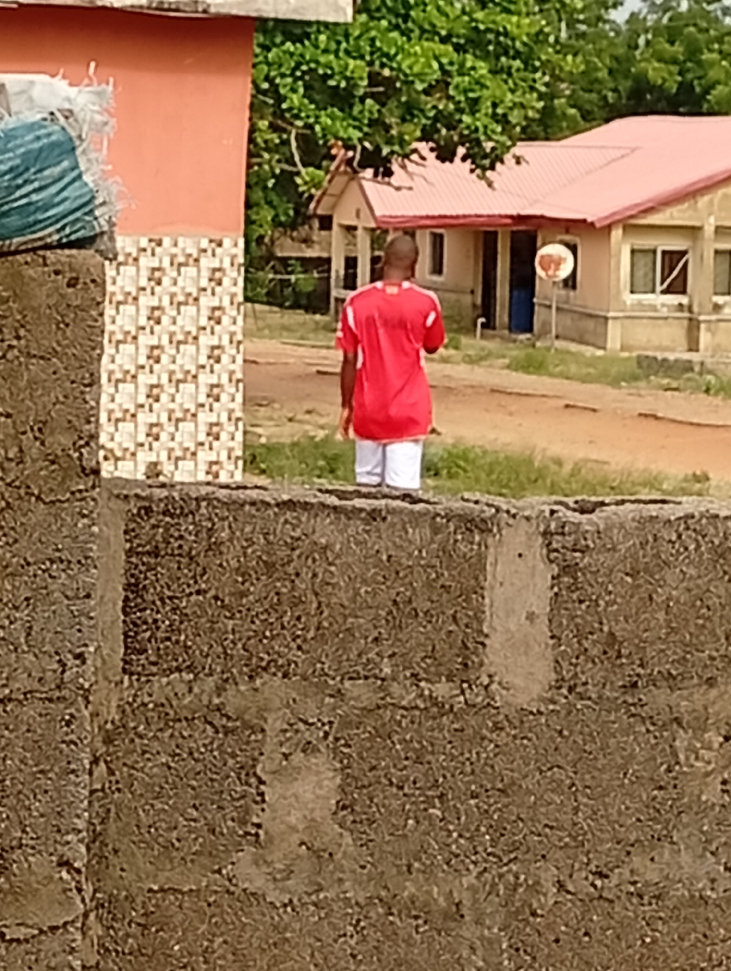 An outdoor, eye-level shot captures a man walking away from the viewer, framed by rough concrete walls in the foreground. The scene depicts a sunny daytime environment, likely in a residential or institutional area, with a sense of calm.
In the immediate foreground, a weathered, rough concrete block wall extends across the bottom half of the image, suggesting a boundary or fence. To the left, behind this wall, a building with a peach-colored upper section and decorative, patterned tiles on its lower facade is partially visible. A bulky, possibly bagged item in white and blue-green fabric rests on the concrete wall near this building.
The central figure is a man viewed from behind, wearing a red short-sleeved athletic shirt with white accents on the sleeves and white shorts. His head appears to have very short dark hair. He is walking towards the background, along a dirt path that meanders through patches of dry grass.
In the middle ground and background, a larger, light-colored building with a distinct reddish-orange corrugated metal roof stands prominently. This building features several windows and a blue door. A small, circular white object, possibly a satellite dish or sign, is mounted on a pole near its front. Lush green trees and foliage are visible behind and around the buildings, indicating a natural environment. The overall lighting is bright and clear, suggesting fair weather. No discernible text is visible in the image, and no specific emotions are conveyed.