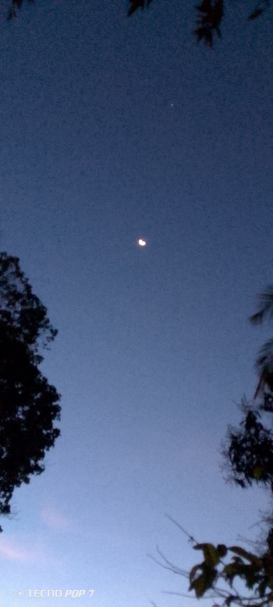 The image captures a serene twilight or early night sky over Altagracia, Venezuela. The sky transitions from a deep, dark blue at the top to a lighter, softer blue closer to the horizon, suggesting the lingering light of dusk or the very beginning of nightfall.
The primary subject is a distinct, bright crescent moon, positioned slightly above the center of the frame, casting a soft glow against the dark expanse. To the upper right of the moon, a very small, faint white dot is visible, possibly a distant star or planet.
Silhouetted dark foliage from trees or dense vegetation frames the scene from the left and right edges, as well as subtly at the very top. These dark, indistinct shapes contrast with the luminous sky, emphasizing the natural setting. No specific human activity is depicted, making the scene one of quiet contemplation of the natural world.
The weather appears clear, with no clouds obscuring the celestial view. The overall impression is one of peacefulness and natural beauty. In the bottom left corner of the image, the text "◎ TECNO POP 7" is clearly visible in white, indicating the device used to capture the photograph.