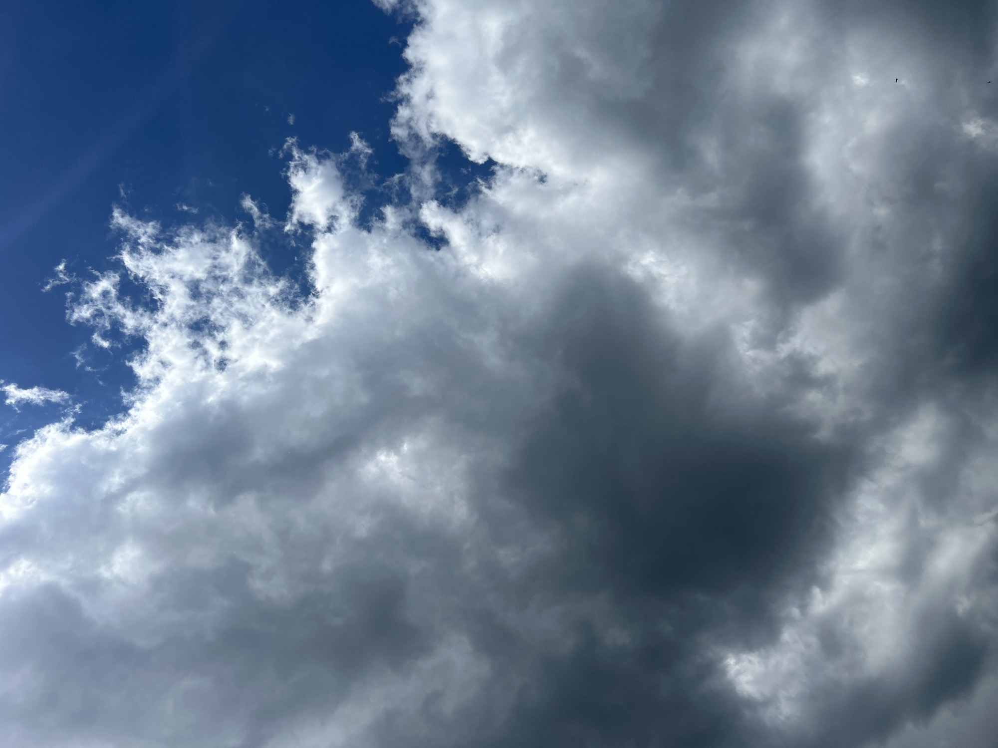The image shows a cloudy sky with a patch of blue sky in the upper left corner. The clouds are predominantly gray and white, with varying densities and textures. The scene appears to be taken during the daytime, with natural lighting. The location in Burgas, Bulgaria, is not evident from the image alone.