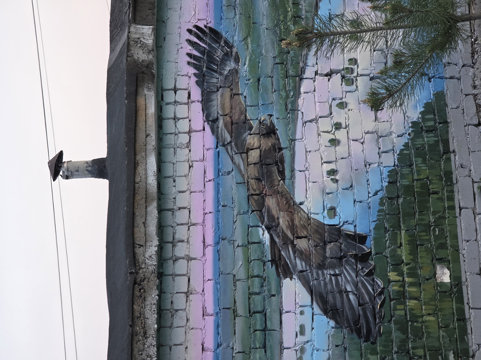 A vertical image shows a brick wall with a mural of an eagle in flight. The eagle is brown and black, with its wings outstretched. The mural is painted on a brick wall, with vertical stripes of blue, green, and purple. The wall appears to be on the side of a building, with the edge of the building visible on the left side of the image. The mural is located in the city of Chaikovsky, Russia.