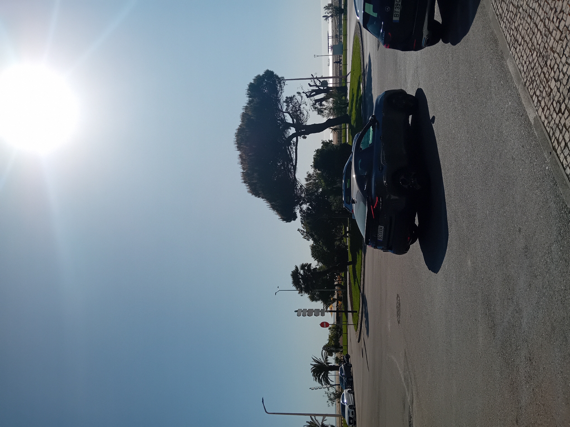 The image displays a sunny daytime scene in Figueira da Foz, Portugal, looking down a street bordered by a park and the sea. The bright sun is prominently featured in the top left, illuminating a clear blue sky. On the right side, an asphalt road runs alongside a patterned cobblestone sidewalk. Several dark-colored cars are parked along the road, casting long shadows. Visible license plates include "BT 39 GC" on a car in the foreground and "B 8653 KM" further down the road.
To the left of the road, a green area with grass and various trees, including a large, spreading pine-like tree and several palm trees, separates the street from a body of water, likely the ocean, visible in the distance. Streetlights, a set of traffic lights, and a red circular "no entry" sign are also visible along the street. The scene appears calm and static, typical of a bright, clear day in a coastal town.