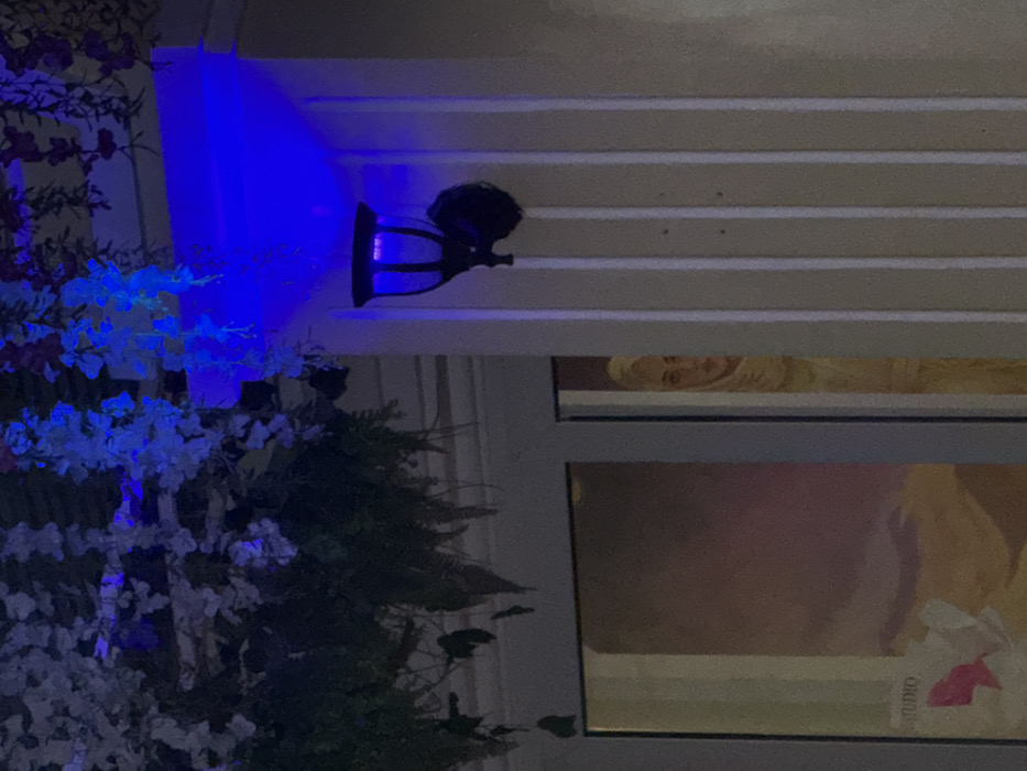 The image depicts a nighttime scene in Ngũ Hành Sơn Ward, Vietnam, illuminated by artificial blue light. A segment of a building facade is visible, featuring light-colored vertical panels on the right side. A black, decorative wall-mounted lantern with a cage-like design is affixed to this facade, emitting a strong blue light that casts upward onto an overhang. Above, dark green foliage and clusters of white and purple artificial flowers hang, also bathed in the blue illumination. To the left, two dark-framed glass panes, likely part of a window or door, are visible. Through the left pane, an interior space shows a large mural or painting with a landscape featuring a sky gradient from purple to orange/yellow. A white sign or decal with the word "STUDIO" in white and a pink graphic is affixed to the glass or visible behind it. Through the right pane, partially obscured by the vertical panels of the exterior, is a framed artwork or poster depicting the face of a woman wearing a light-colored head covering, looking forward. No live people are present; the woman is an image.