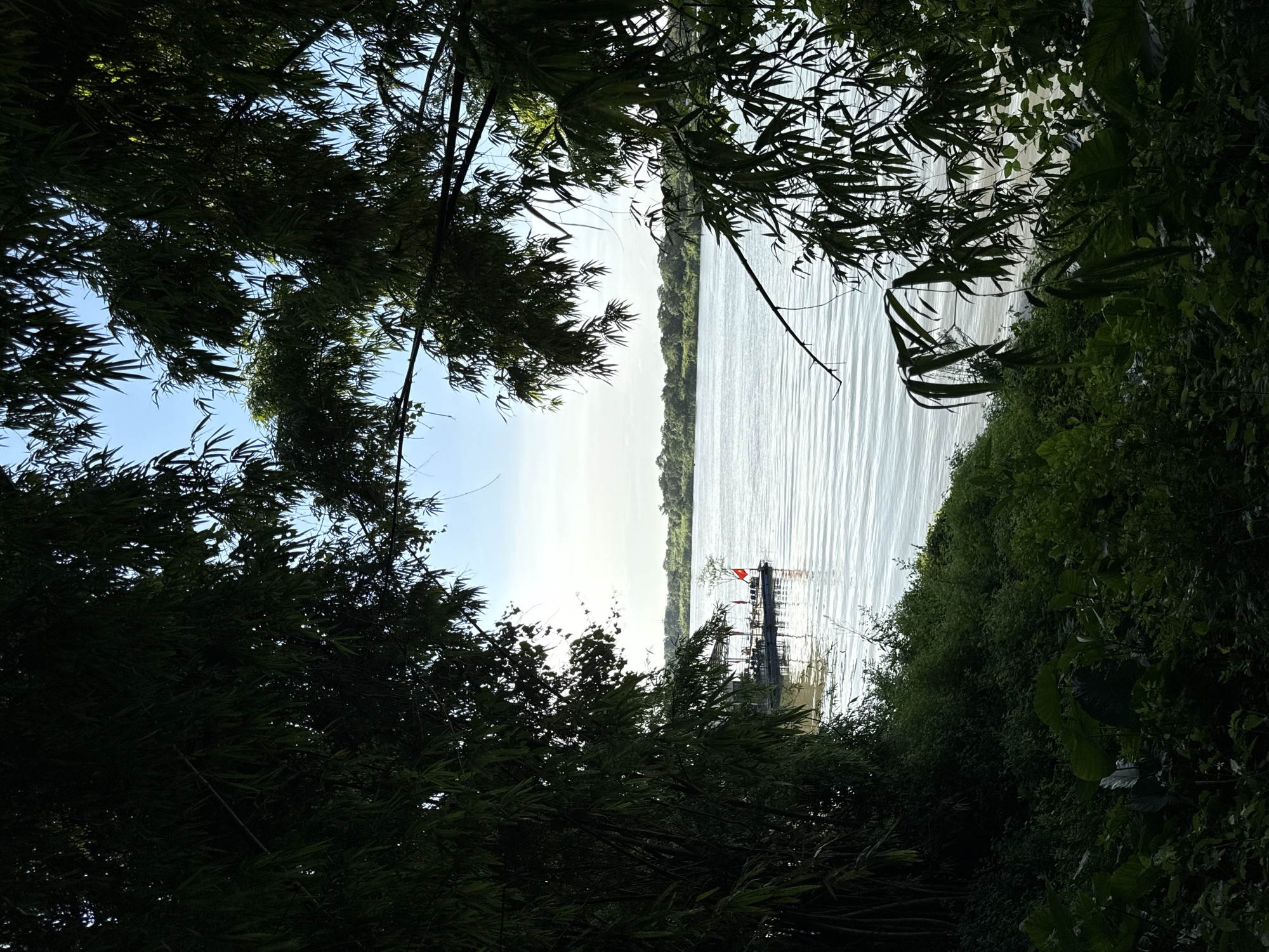 The image depicts a body of water viewed through dense foliage, likely a river or lake. A structure resembling a pier or a raft with a red flag is visible in the distance. The vegetation framing the scene consists of various types of plants, including bamboo. The location is suggested to be Hà Nội, Vietnam.