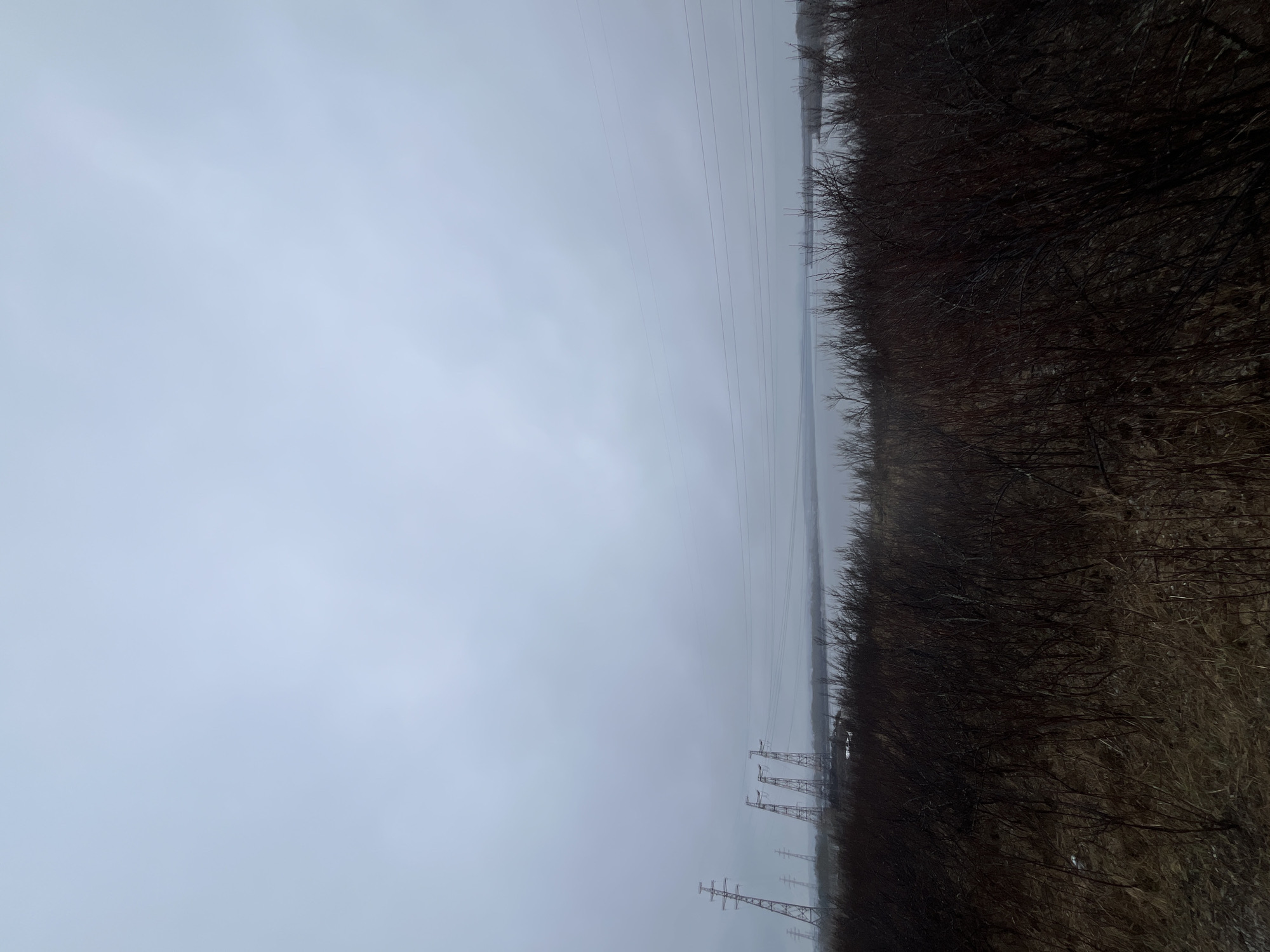 The image displays a bleak, wide-angle outdoor landscape under an overcast sky in what appears to be late autumn or winter, located in Chaikovsky, Russia. The sky, a uniform light grey, dominates the upper half of the frame, blending seamlessly into a hazy horizon line.
Stretching horizontally across the middle of the scene are multiple parallel power lines, which become increasingly indistinct as they recede into the distant mist. Below these lines, on the left side of the frame, several tall metal lattice transmission towers (pylons) stand, gradually diminishing in size and clarity towards the background, suggesting a vast electrical infrastructure.
A dense, dark band of bare trees or shrubs occupies the right side of the image, extending from the foreground into the distance. These deciduous trees, stripped of their leaves, suggest a cold season. Their dark, tangled branches form a stark contrast against the lighter grey tones of the sky and the hazy landscape beyond. The distant landscape, visible between the power lines and beyond the trees, is indistinct and shrouded in fog or mist, possibly indicating a flat body of water or distant land.
There are no people or specific activities visible within the frame. The overall impression is one of a quiet, somewhat somber, and expansive natural environment interspersed with industrial elements. The weather is uniformly grey and hazy. No visible text is present in the image.