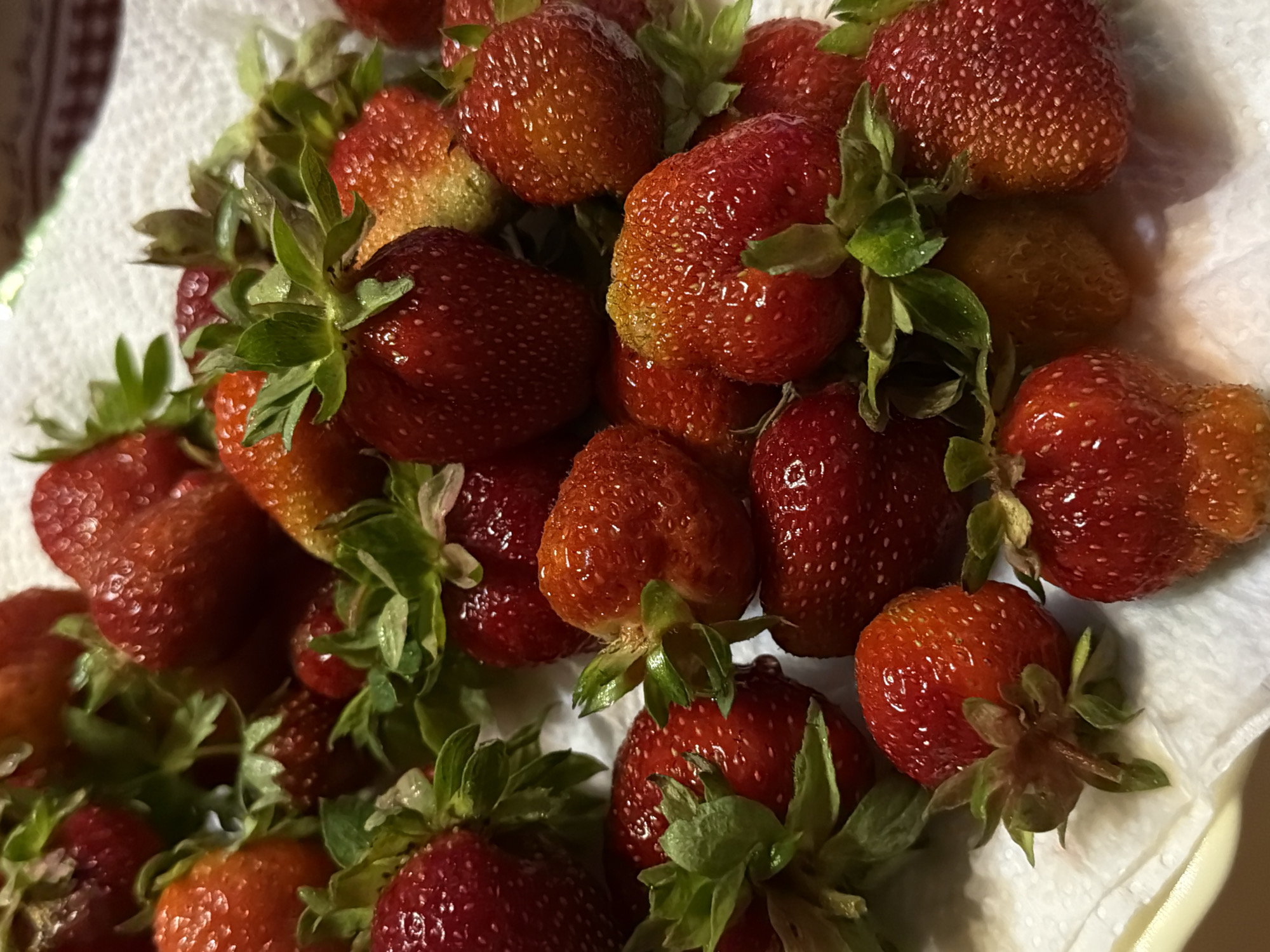 A pile of fresh strawberries sits on a white paper towel. The strawberries are various shades of red, with some appearing more orange than others, suggesting a mix of ripeness. They are clustered together, with their green leafy tops visible. The lighting is somewhat dim, and the background is out of focus. The image appears to be a close-up shot of the fruit. There is no visible text. The setting is likely a kitchen or a table where food is prepared or served. The time of day and weather are not discernible from the image.