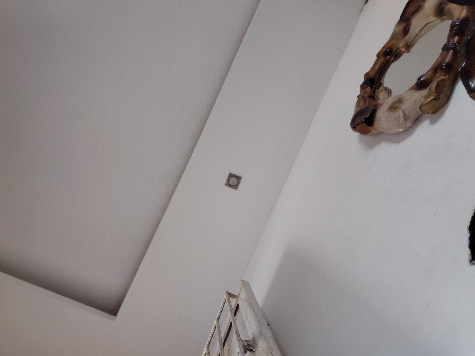 The image captures an upward view of an interior space, likely a room. The dominant features are the white walls and ceiling. The ceiling presents a layered effect with a dropped or false ceiling panel on the left, creating a recessed section. A small, square recessed light fixture with a circular light source is centrally located in a flat section of the ceiling.
On the far right, a decorative object is visible, appearing to be a part of a larger sculpture or carving. It has a brownish, textured finish, possibly resembling wood or a resin material, with lighter beige and darker brown tones, and some gold-colored accents. Its organic, curved shape suggests an animal form, possibly a leg or hoof.
At the bottom center, part of a white, possibly metallic, structure with horizontal bars is partially visible. This could be a section of a ladder, a gate, or a furniture frame.
No people are visible in the scene, and no specific activity is taking place. The lighting suggests an indoor setting, but the time of day and weather are not discernible. There is no visible text. While the location context of Santa Ana, Venezuela, is provided, the image itself does not contain specific visual cues to confirm this geographical location.