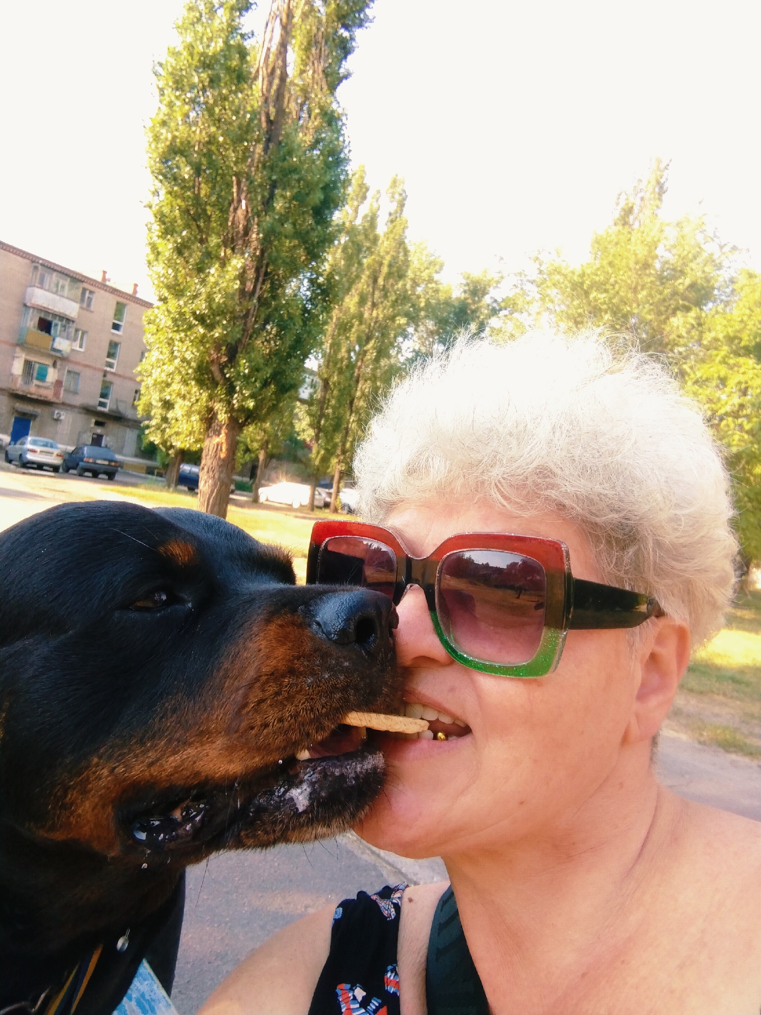 In Horishni Plavni, Ukraine, a Rottweiler is being fed a treat by a woman wearing large, colorful sunglasses. The dog's snout is close to the woman's face, with the treat held between their mouths. The woman has short, light-colored hair and is wearing a dark-colored top with a pattern. In the background, there is a residential building, several parked cars, and trees. The setting appears to be an outdoor public space, possibly a street or park.