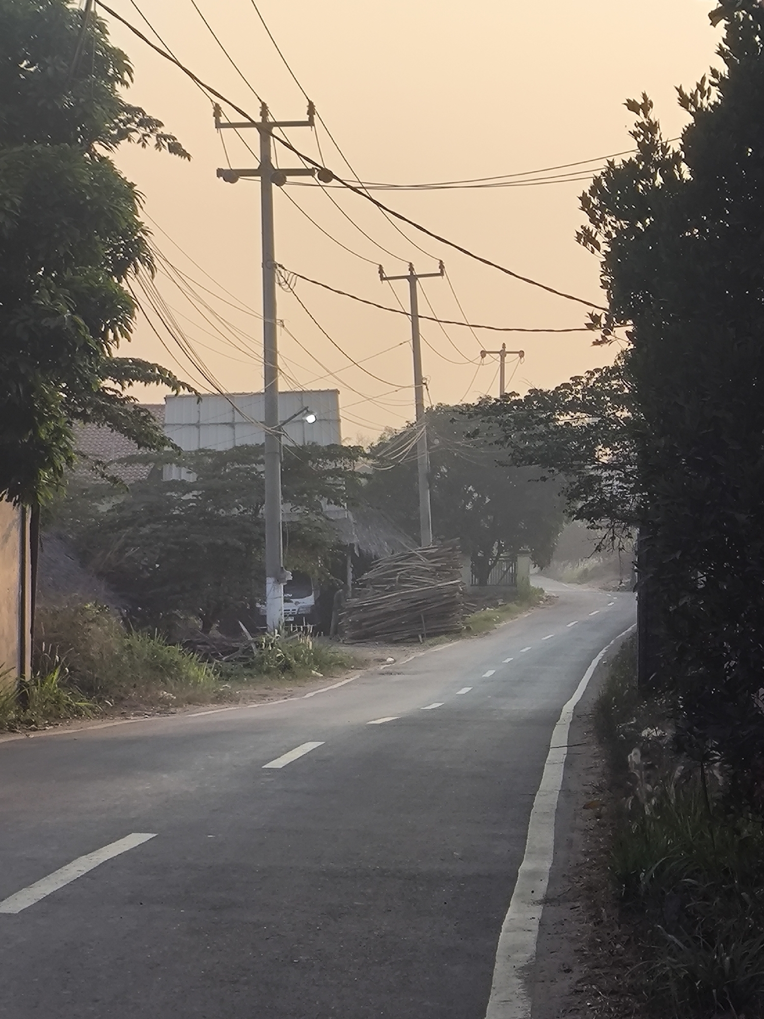 The image depicts a road in Cilegon, Indonesia, at dusk. The sky is a soft orange, indicating the setting sun. On the left side of the road, there are trees with dense green foliage and a building with a white metal facade. Utility poles with numerous tangled wires are prominent features along the road, suggesting an urban or semi-urban environment. To the right of the road, more trees and vegetation are visible, with a pile of stacked wooden logs. The road itself is asphalt, with a white dashed line marking the center and a solid white line on the right edge. There are no people or vehicles visible in the image. The overall impression is one of a quiet, everyday scene in a part of Cilegon.