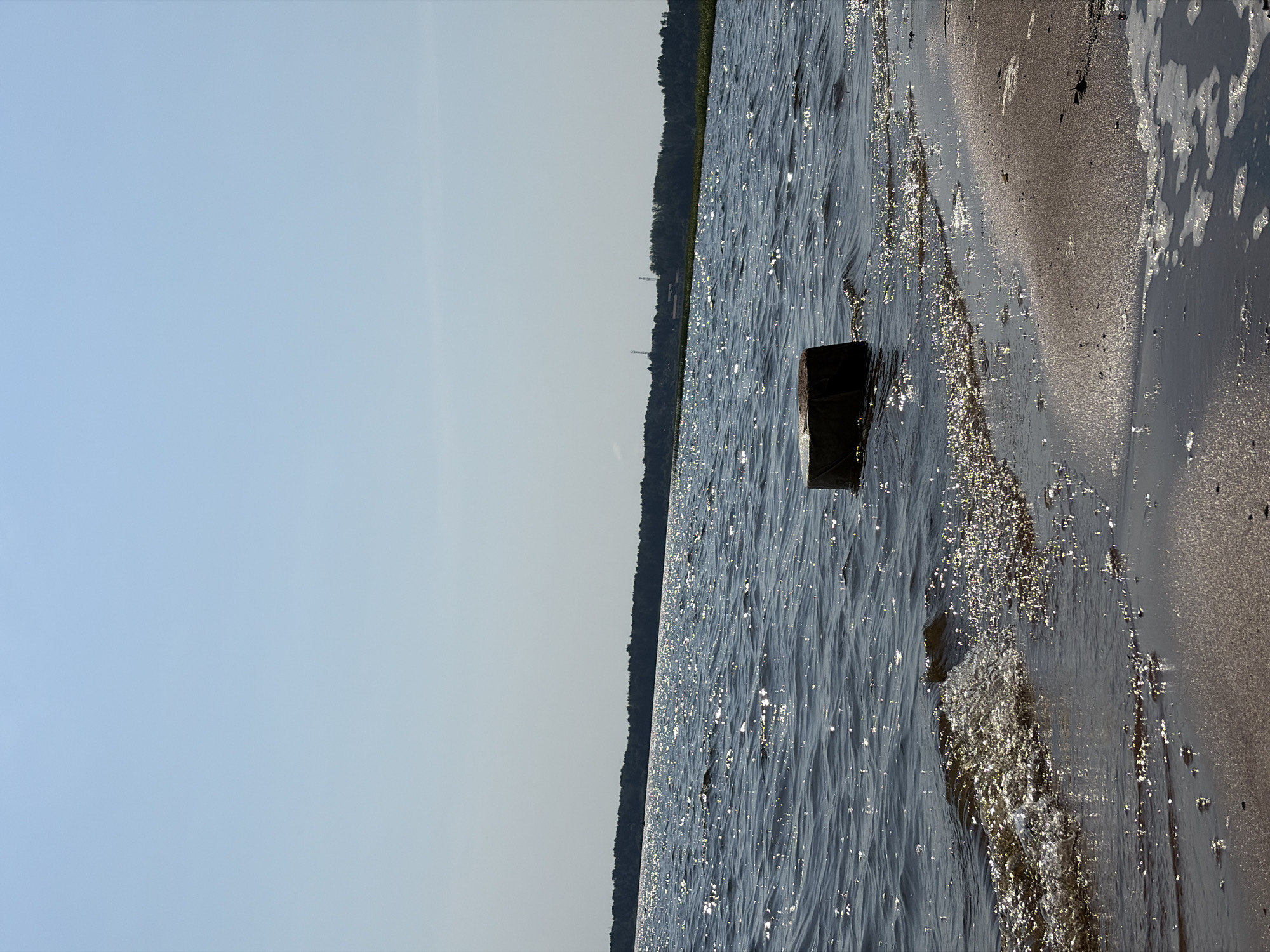 A bright, sunny day is depicted with a clear sky. The image shows a body of water with small waves, likely a lake or sea, with the sun glinting off the surface, creating a sparkling effect. In the foreground, a sandy shore is visible with some foam from the water. A dark, rectangular object, possibly a piece of debris or a marker, protrudes from the water near the shore. In the distance, a line of trees forms the horizon, with a few indistinct structures visible behind them. The location is Vaskelovo, Russia.