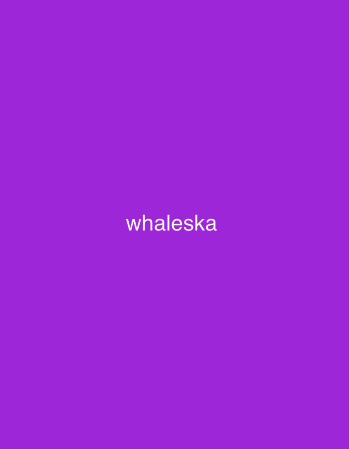 The media file displays a solid, vibrant purple background with no discernible people, objects, or environmental elements. The scene is abstract and minimalist, devoid of any specific setting or location cues that would suggest Santa Ana, Venezuela, or any other geographical place. There is no activity or event taking place. The only visible detail is the text "whaleska" written in white, sans-serif font, centered on the purple background. The image provides no information regarding time of day, weather, or emotions.