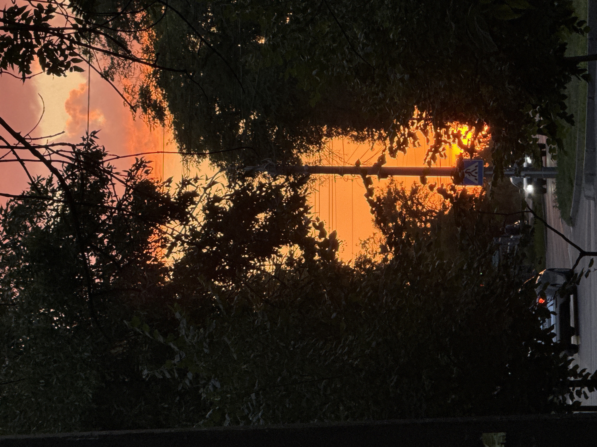 The image depicts a dramatic sunset scene in Zaporizhzhia, Ukraine. The sky is ablaze with vibrant orange and pink hues, with scattered clouds catching the light. Silhouetted against this fiery sky are the dark shapes of trees and branches. In the foreground, the lush foliage of trees frames the view, creating a sense of depth. A utility pole with wires is visible in the middle ground, and a pedestrian crossing sign with a blue square and white figure stands beside it. Below, a street is visible with a few vehicles, including a silver car with its brake lights illuminated. The overall atmosphere is one of natural beauty juxtaposed with urban elements.