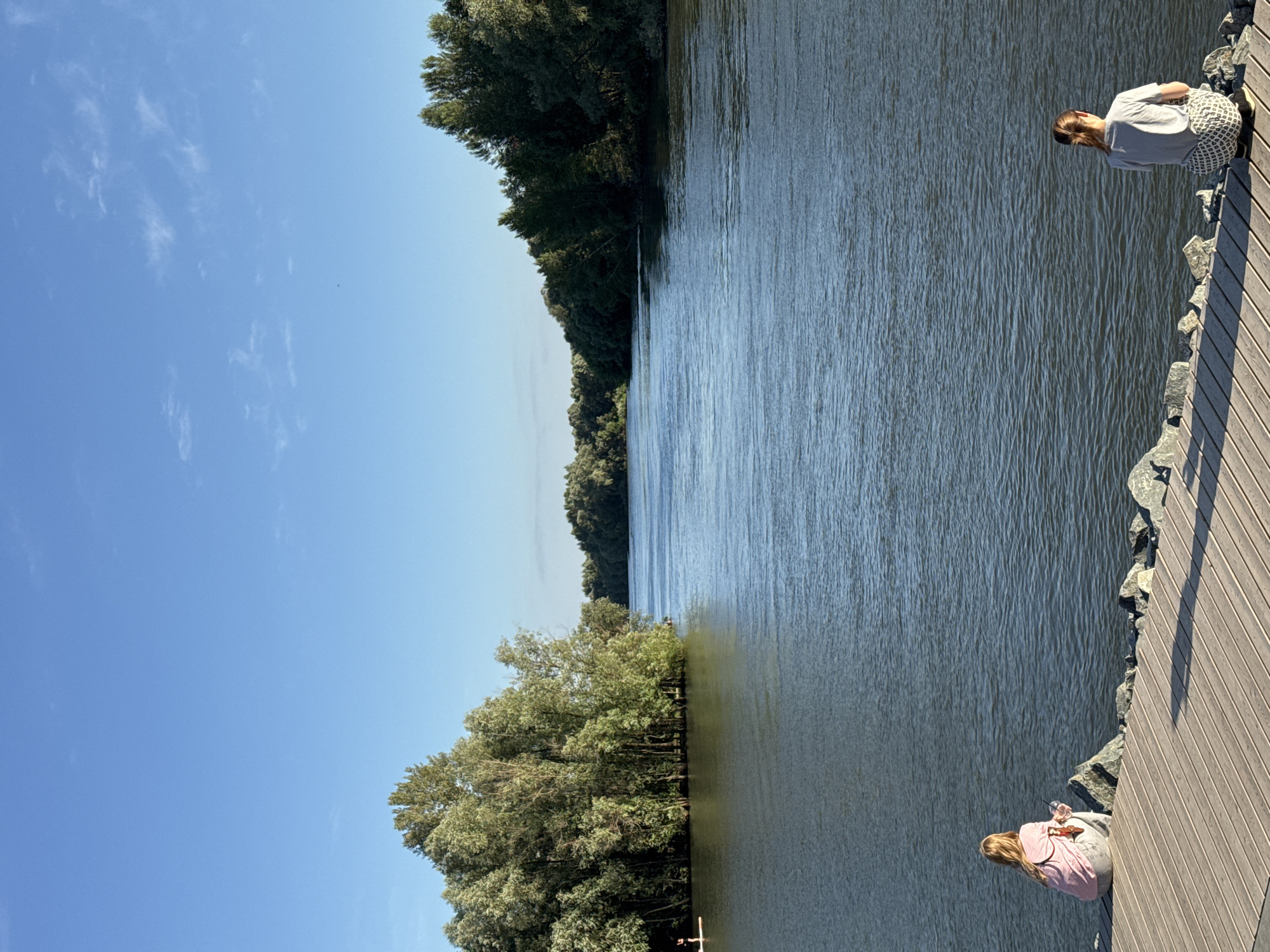 The image captures a serene waterside scene on a bright, clear day, likely during daylight hours given the strong shadows cast by the wooden decking. Two individuals are present. In the foreground, a person with blonde hair, wearing a light pink top and grey bottoms, is seated on the rocky edge of the wooden pier, holding a bottle and what appears to be a smartphone. Further up the pier, another person, viewed from behind and wearing a grey top and patterned bottoms, is also looking out towards the water.
The setting is a body of water, possibly a river or lake, with a dense line of green trees forming the opposite bank. The water's surface is rippled, suggesting a gentle breeze. The pier is constructed of light-colored wooden planks, with a border of natural rocks separating it from the water. The sky is a vivid blue with a few wispy white clouds. The overall mood is one of peaceful observation and relaxation in a natural environment. The location context of Novosibirsk, Russia, is provided but not visually discernible from the image itself. No visible text is present in the image.