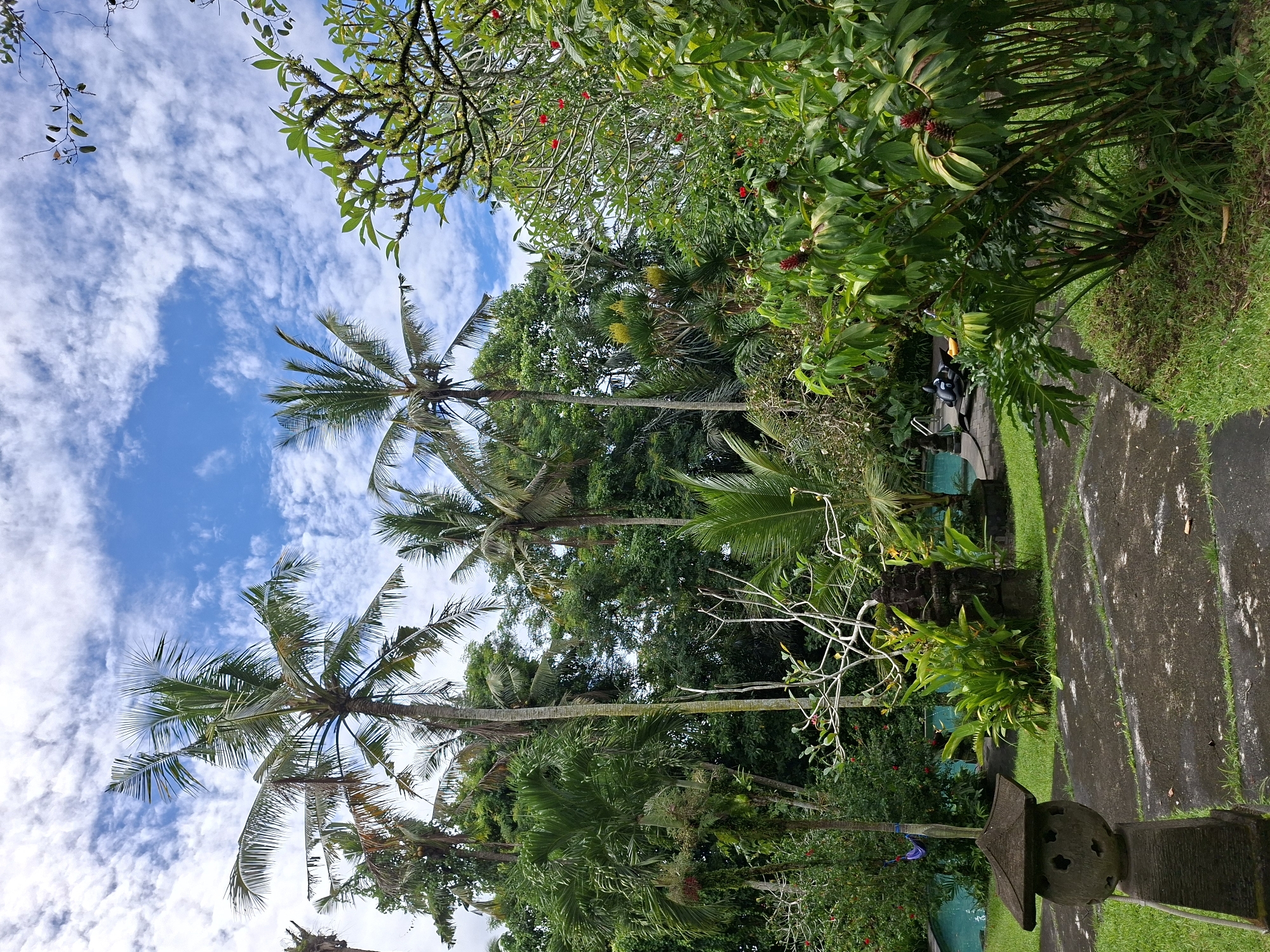 This photo, taken in Ubud District, Indonesia, captures a lush tropical landscape. The sky, a vibrant blue dotted with scattered clouds, is visible above tall palm trees with feathery fronds. The trees are surrounded by dense greenery and exotic flowers. A stone-paved pathway bordered by grass leads through the scene, suggesting a garden or park setting. A stone lantern sits in the foreground.