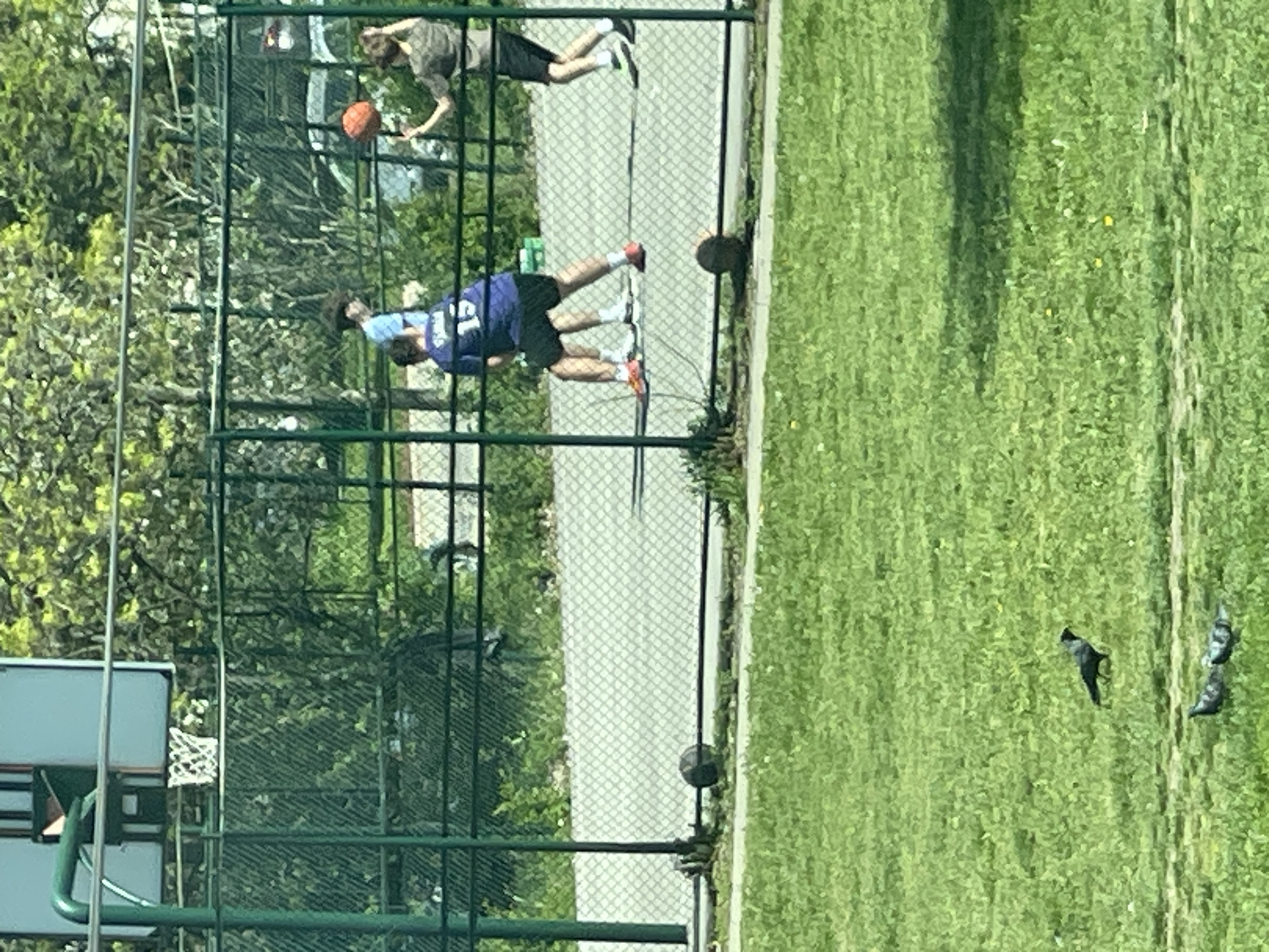 The image shows a basketball court outdoors, with two people playing basketball. One person is wearing a blue jersey with the number 12, while the other is wearing a grey shirt. There are also several pigeons on the grass next to the court. The court is fenced in with a green chain-link fence. The location appears to be in Sofia, Bulgaria.