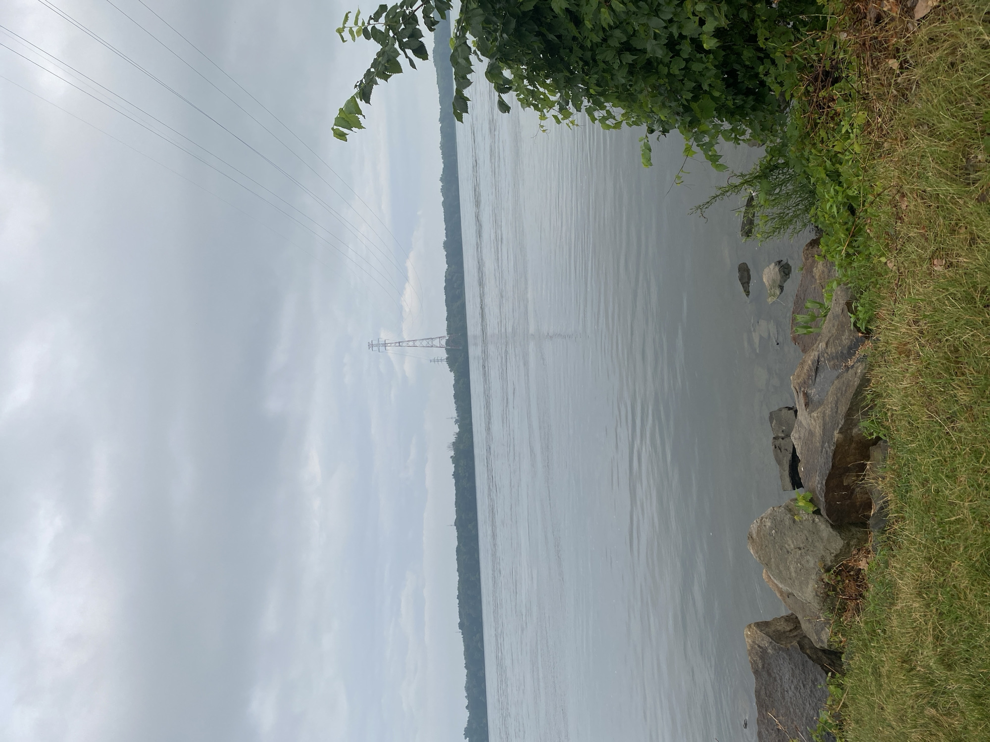 A wide, calm body of water, likely a river, stretches across the frame under an overcast sky. The water's surface is subtly rippled, reflecting the muted light. On the far bank, a dense line of green trees forms a natural horizon, interrupted by distant power lines and towers. Closer to the foreground, on the right side of the image, lush green foliage, including leaves and vines, encroaches on the scene. The left bank is lined with large, dark rocks and a patch of green grass. High-tension power lines stretch diagonally across the upper portion of the sky, originating from a tall transmission tower visible in the distance. The overall scene is serene and natural, with man-made structures minimally intruding on the landscape.