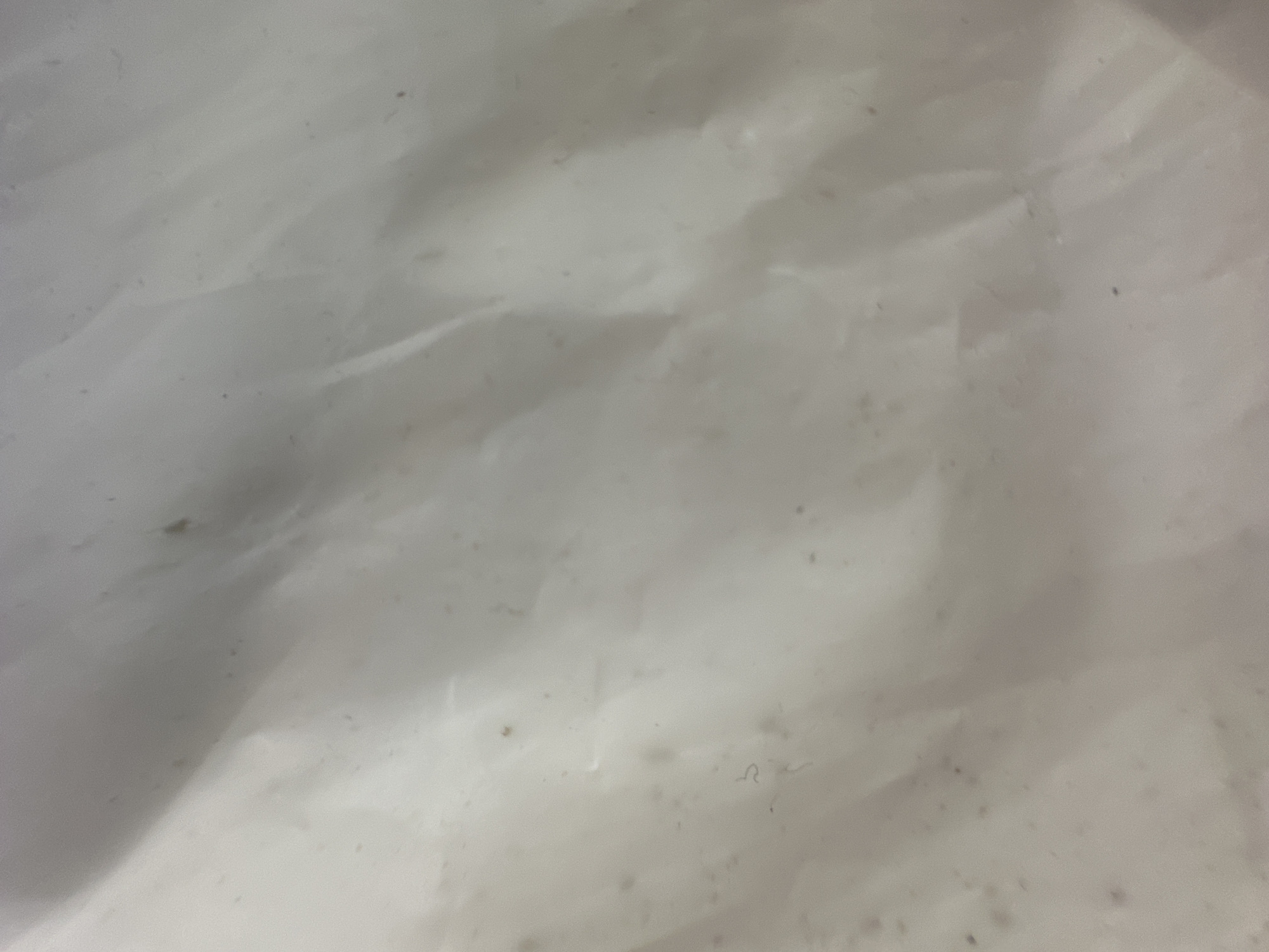 This media file is a close-up, abstract shot of a textured, white or light gray surface. The surface appears to be crumpled or folded, creating shadows and highlights that give it a sense of depth and organic form. There are numerous small, dark specks scattered across the surface, which could be dust, dirt, or imperfections. One particularly noticeable detail is a small, curved, dark line resembling a question mark or a very loose 'S' shape, located towards the right side of the image. The lighting seems to be soft and diffused, suggesting an indoor setting or an overcast day. There are no visible people, objects, text, or clear environmental cues to indicate a specific location, activity, or time. The overall impression is one of abstract texture and subtle detail, possibly intended to represent a material like paper, fabric, or a painted surface.