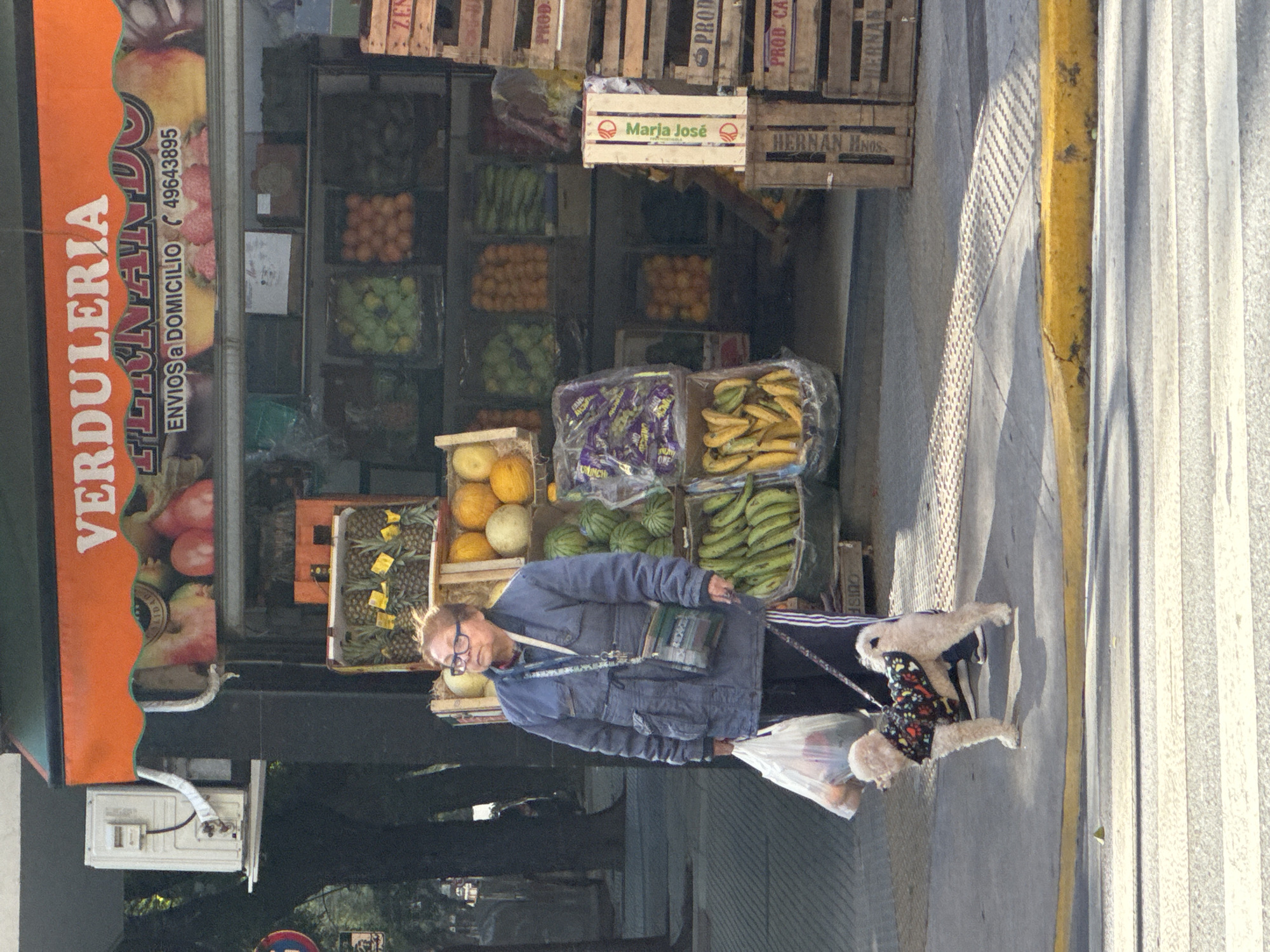 The image shows a woman walking a small, poodle-type dog wearing a colorful garment in front of a verdulería (fruit and vegetable store) in Buenos Aires, Argentina. The store displays a variety of produce, including pineapples, melons, squash, citrus fruits, and other vegetables in wooden crates. A sign on the store reads "VERDULERIA," "ENVIOS a DOMICILIO," and a phone number. Another crate is labeled "Marja José," and another "HERNAN MNOS." The woman is wearing a blue jacket, glasses, and is carrying a plastic bag. The street is paved and has a yellow curb.