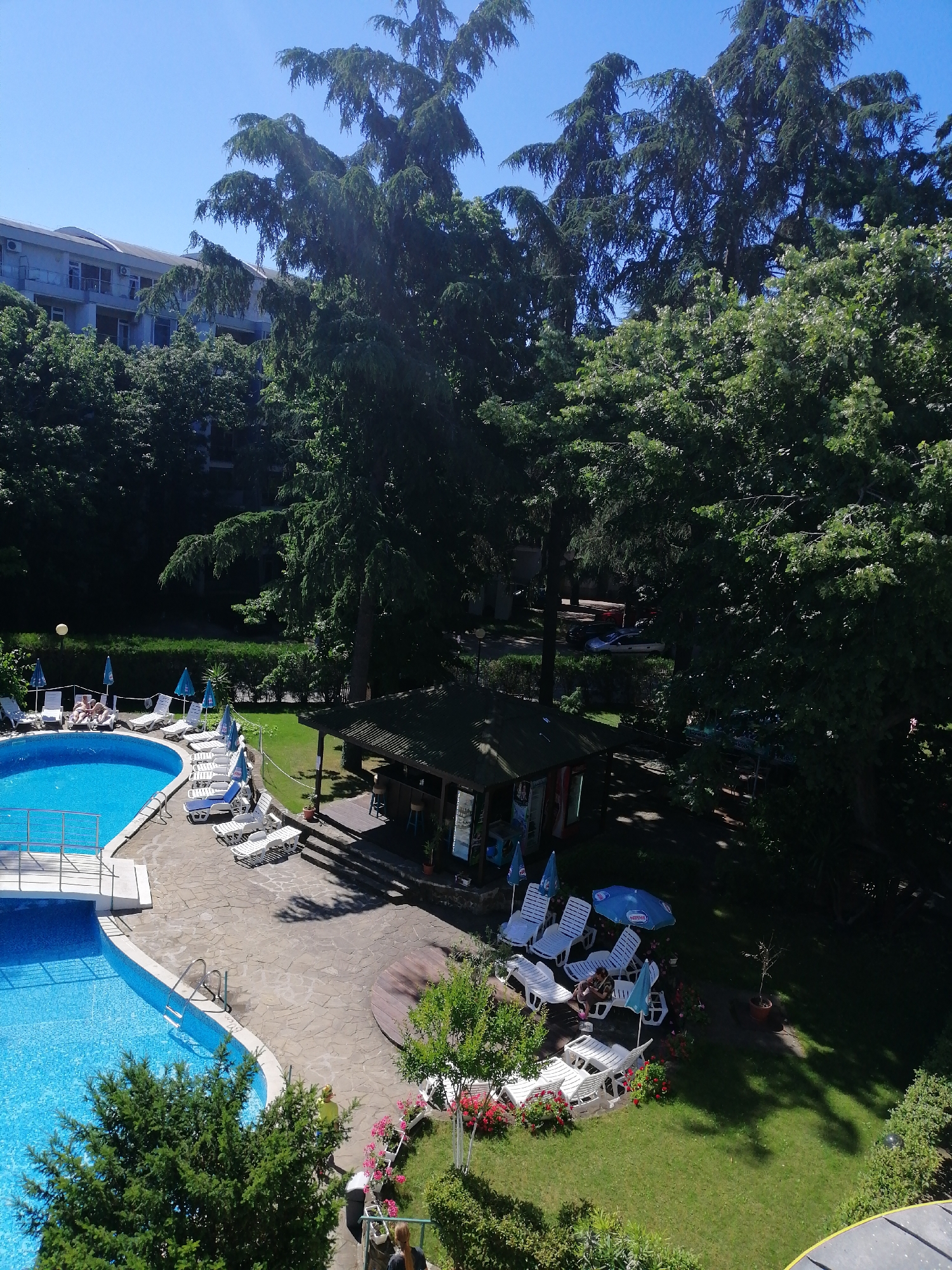This media file depicts an outdoor scene at a resort, likely in Varna, Bulgaria, on a bright, sunny day. The main subjects are a large, bright blue swimming pool and the surrounding area which includes lounge chairs, umbrellas, trees, and a small building.
The swimming pool, with its clear water, is a central feature. A white bridge crosses one section of the pool. Several white lounge chairs are arranged on the paved area next to the pool, some with blue cushions and umbrellas. A few people are visible relaxing on these chairs. One person appears to be sunbathing, while another sits on a chair.
Beyond the pool area, a grassy lawn is dotted with more lounge chairs and pink flowers. A small, open-air bar or kiosk with a green roof is situated on the edge of the lawn. Two stools are visible at the bar. A blue umbrella, with a white logo that appears to say "Nestle", is open over a set of lounge chairs.
In the background, tall, lush green trees dominate the scene, casting dappled shadows on the ground. Behind the trees, a multi-story building with balconies and air conditioning units is partially visible. The clear blue sky suggests fair weather. The overall impression is one of a relaxed, recreational setting, likely a hotel or resort, during a warm, sunny day. The presence of sunbathers and the swimming pool implies a summer vacation or leisure activity. No discernible text, other than the partial logo on the umbrella, is visible.