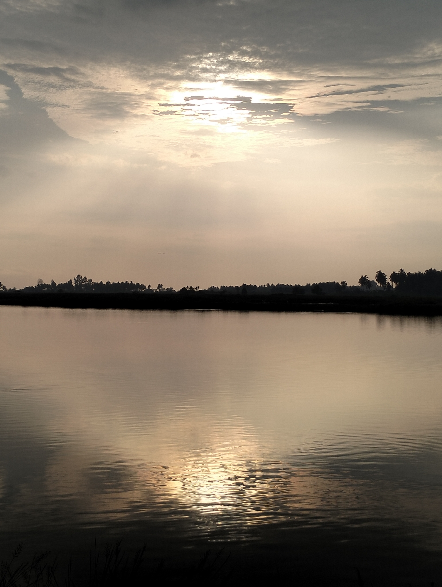 The image shows a landscape in Aluelhob, Indonesia at dawn or dusk. The sky is filled with gray clouds, with the sun peeking through a break in the clouds. The light reflects on the water's surface. A line of trees and foliage forms the horizon. The foreground features dark plants silhouetted. The scene is still and quiet.