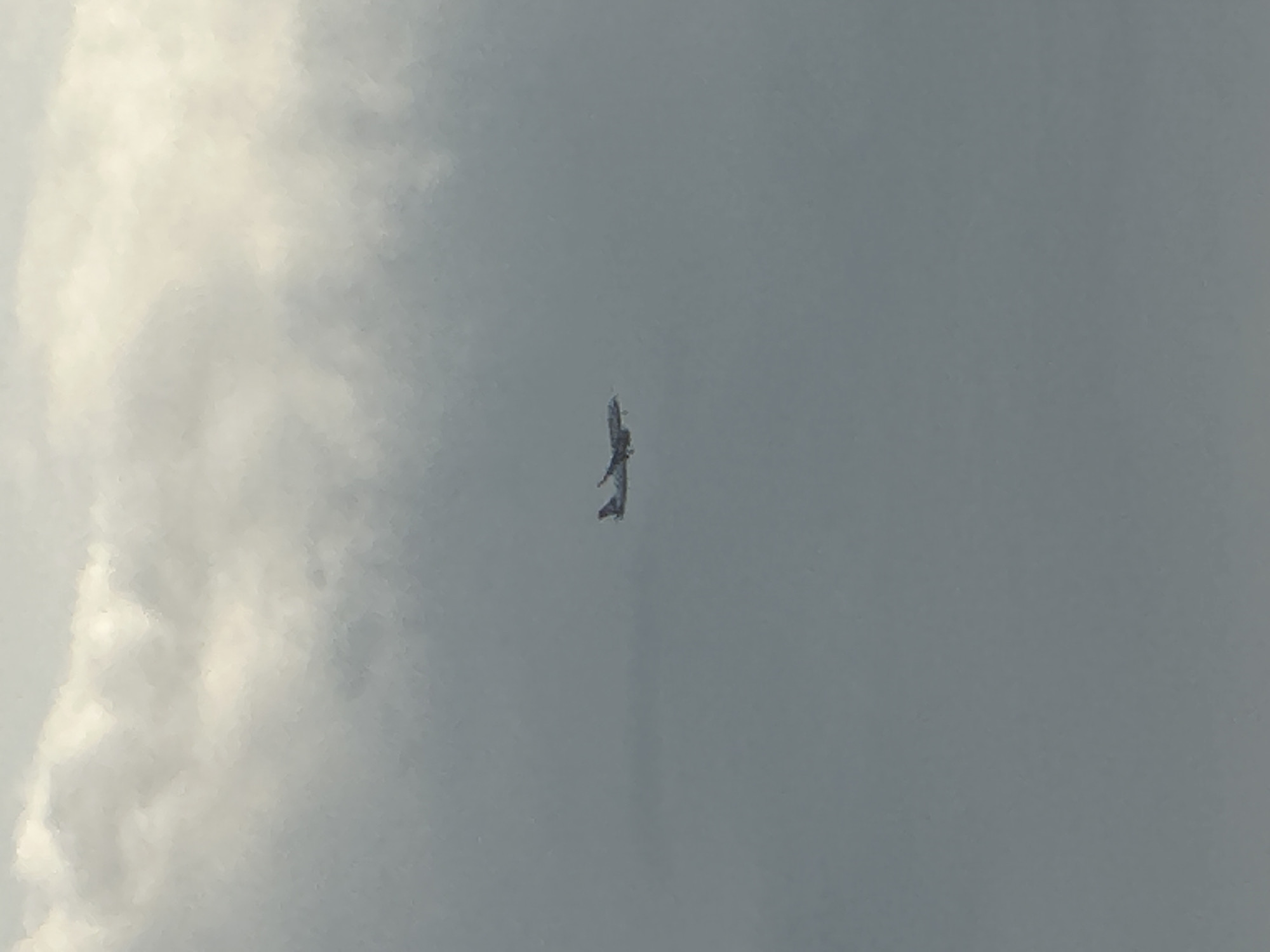 A commercial airplane flies through a cloudy sky. The airplane is white with red markings on its tail. The sky is overcast with dense gray clouds, with patches of brighter white clouds visible at the top of the frame. The image appears to be taken from below the airplane. The scene is devoid of any urban or environmental context, making it impossible to determine a specific location within Budva, Montenegro, or any other city.