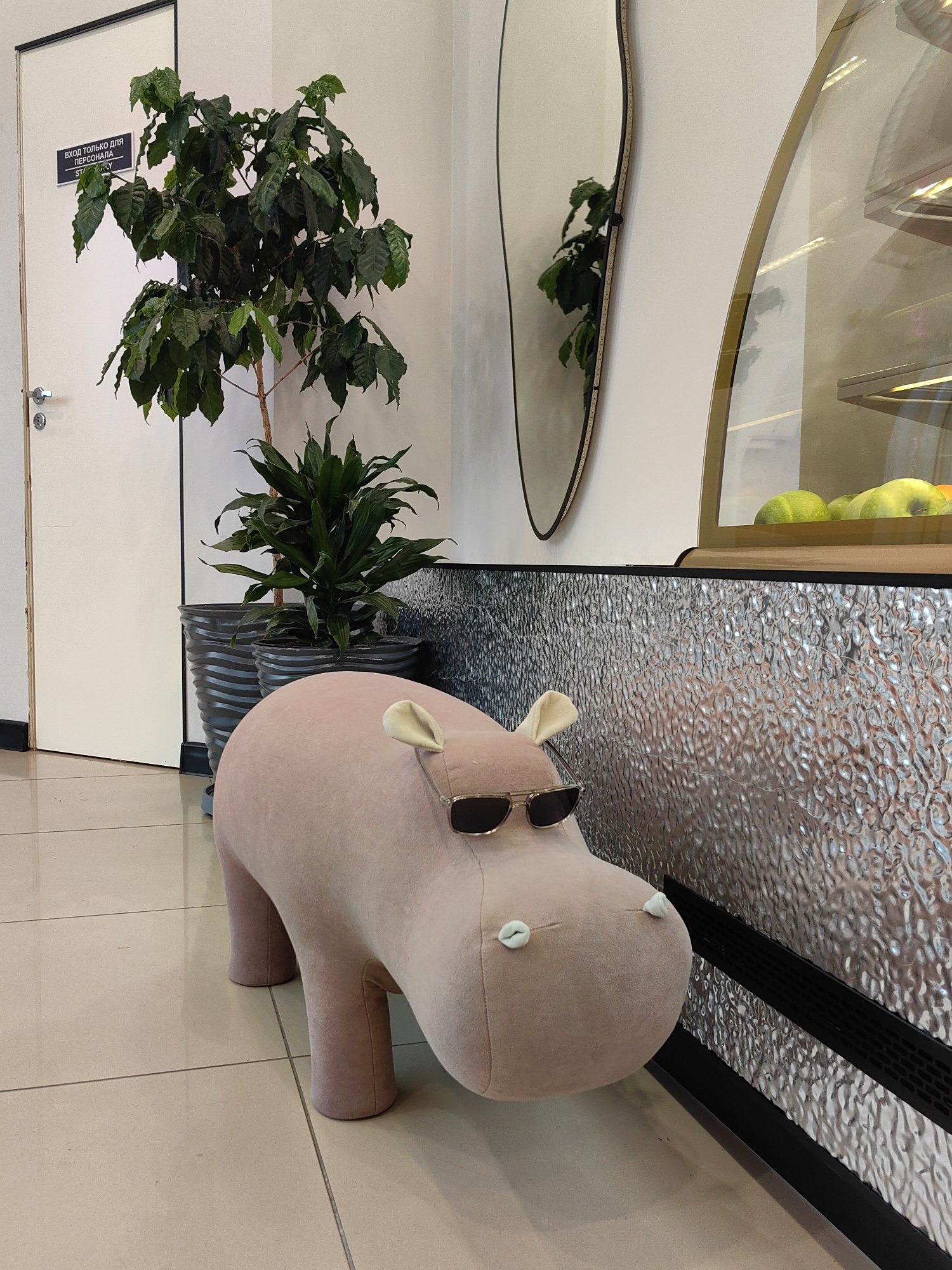 An indoor scene in what appears to be a cafe, lounge, or commercial waiting area in Sirius, Russia, features a whimsical, light pink hippopotamus-shaped ottoman or stool positioned prominently in the foreground. The hippopotamus is wearing dark sunglasses, adding a humorous and stylish touch, and has small, off-white ears and nostrils.
Behind the hippopotamus, on the left, a tall, dark green potted plant with numerous broad leaves stands before a plain white door. A second, smaller potted plant is visible at the base of the taller one. The white door has a silver handle and a black rectangular sign with white text. The visible text reads "ВХОД ТОЛЬКО ДЛЯ ПЕРСОНАЛА," which translates from Russian to "ENTRY ONLY FOR PERSONNEL." Below this, "STAFF ONL" is partially visible, indicating "STAFF ONLY" in English.
To the right of the plants and door, a tall, narrow, oval-shaped mirror with a dark frame hangs on a white wall, reflecting a portion of the green plant. Further to the right, a curved-glass display case, likely a refrigerated unit for food or drinks, is visible. Inside the case, several green fruits, possibly apples, are arranged on a shelf. Below the display case, a textured, metallic wall panel with a rippled or hammered pattern extends across the mid-ground. A black trim or vent runs along the bottom of this panel. The floor is covered with light-colored, square tiles with visible grout lines. The lighting suggests an interior setting, possibly daytime, with a calm and modern ambiance. No people are visible.