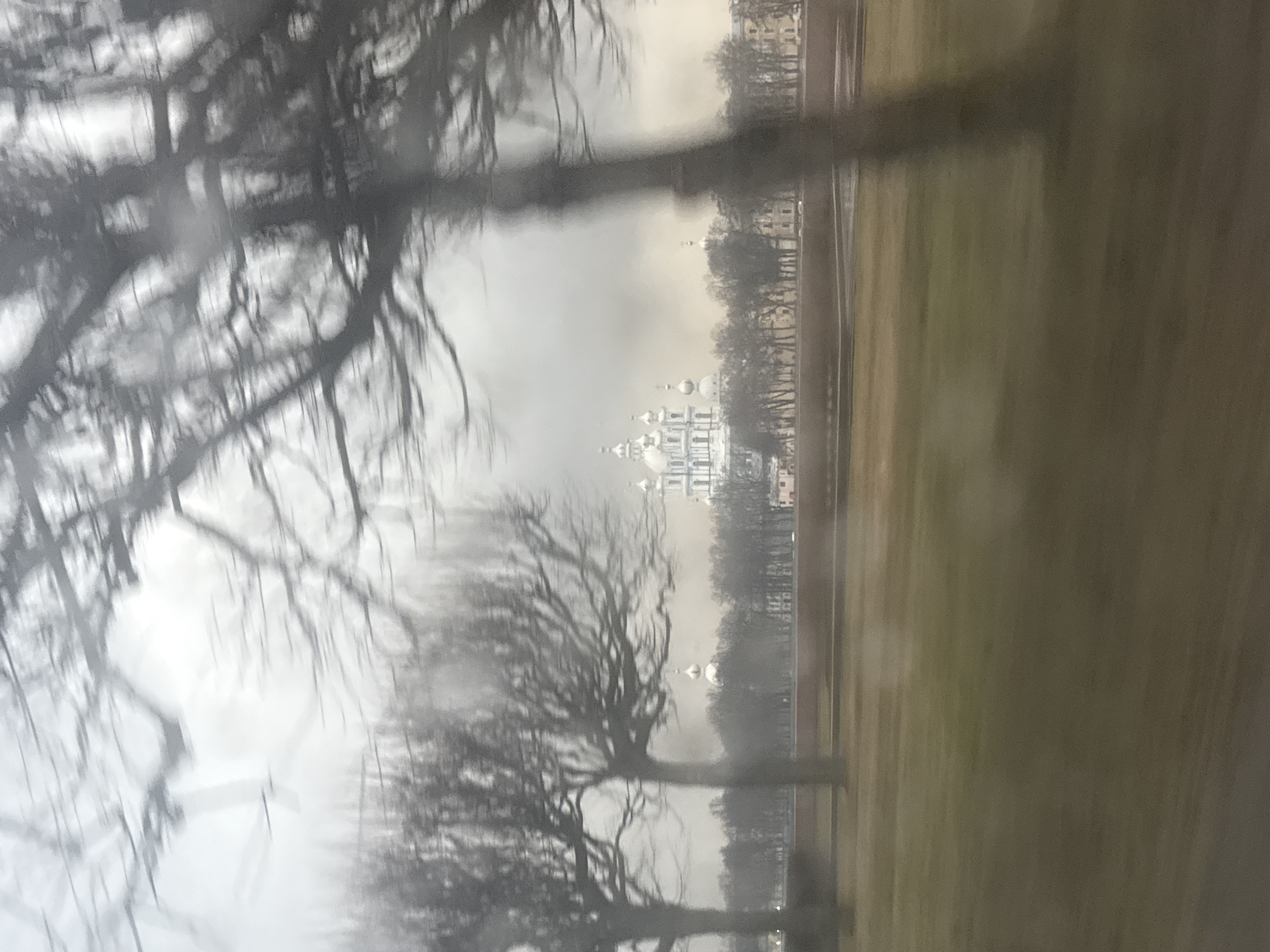 The image depicts a view from what appears to be a moving vehicle, likely a car, on a rainy day. The foreground is dominated by blurred, leafless tree branches, obscuring the view. In the middle ground, there is a long expanse of green space, possibly a park or lawn. Beyond the trees and green space, a row of buildings is visible, with a prominent white building featuring multiple domes at the center, indicating an Orthodox church. The architecture suggests that this is likely the Smolny Cathedral in Saint Petersburg, Russia. The overall atmosphere is overcast and bleak, with the rain and lack of foliage adding to the somber tone.
