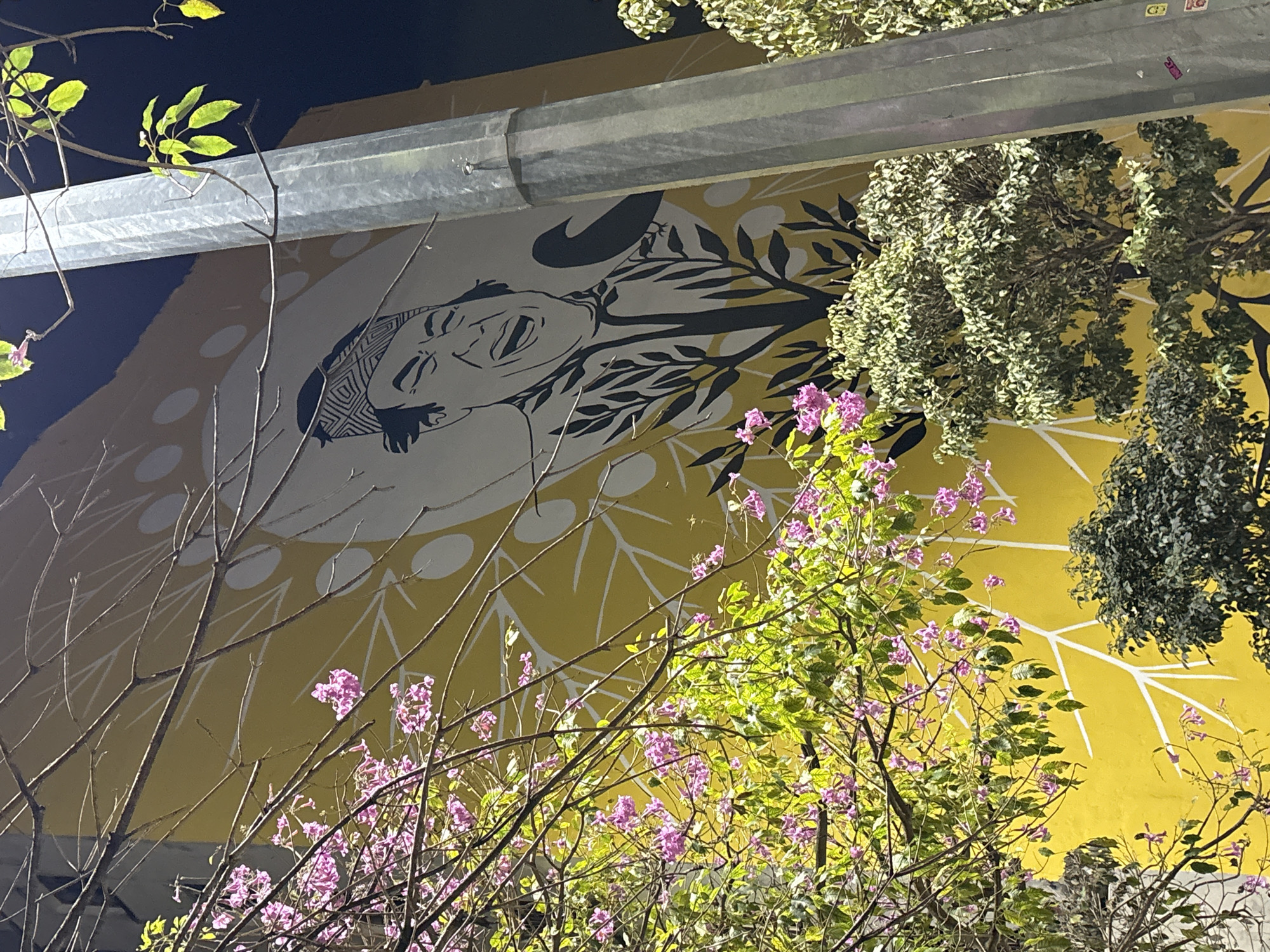 The image shows a vibrant mural on a yellow building wall in São Paulo, Brazil, featuring a stylized portrait of a laughing man wearing a patterned bandana. The mural has a graphic, black and white design with abstract white circular and branching elements. In front of the mural, a tall, metallic lamppost stands prominently, partially obscuring the artwork. Lush green foliage and delicate pink flowers from trees and bushes are in the foreground, adding a natural element to the urban scene. The composition is a juxtaposition of art, nature, and infrastructure, captured at night or in low light conditions, as indicated by the dark background.