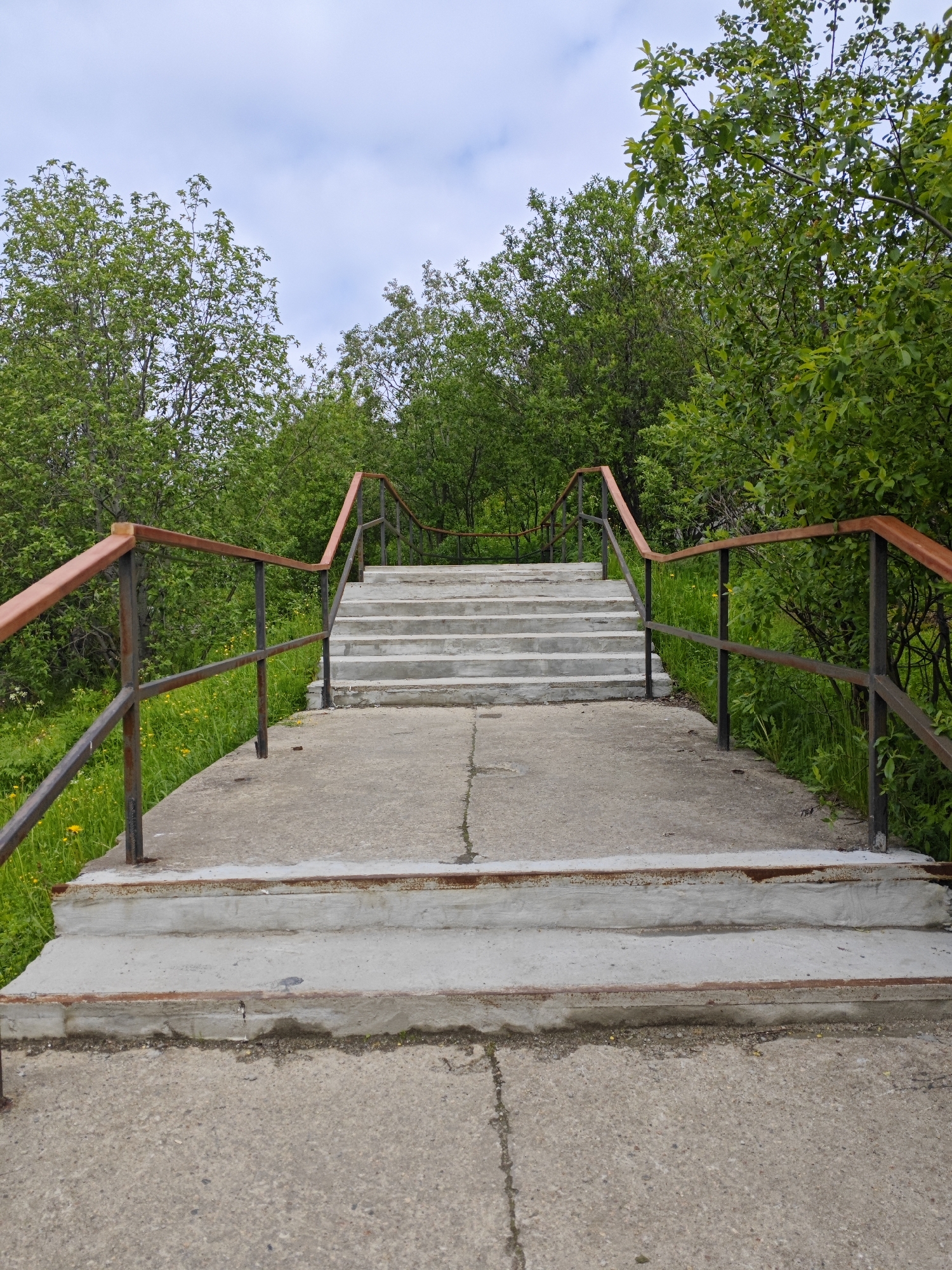 A concrete staircase with metal railings with wooden handrails ascends between lush green trees and grass under a cloudy sky. The scene is set in the city of Polyarny, Russia, suggesting an outdoor public space like a park or a pathway. The concrete steps show signs of wear and tear with some discoloration and minor cracks. The railings are made of dark metal poles supporting a reddish-brown wooden handrail. Green grass with scattered yellow flowers grows on either side of the pathway leading to the stairs. The trees are dense with vibrant green foliage, creating a natural backdrop. The sky is overcast with visible clouds. There are no people or animals visible in the image.
