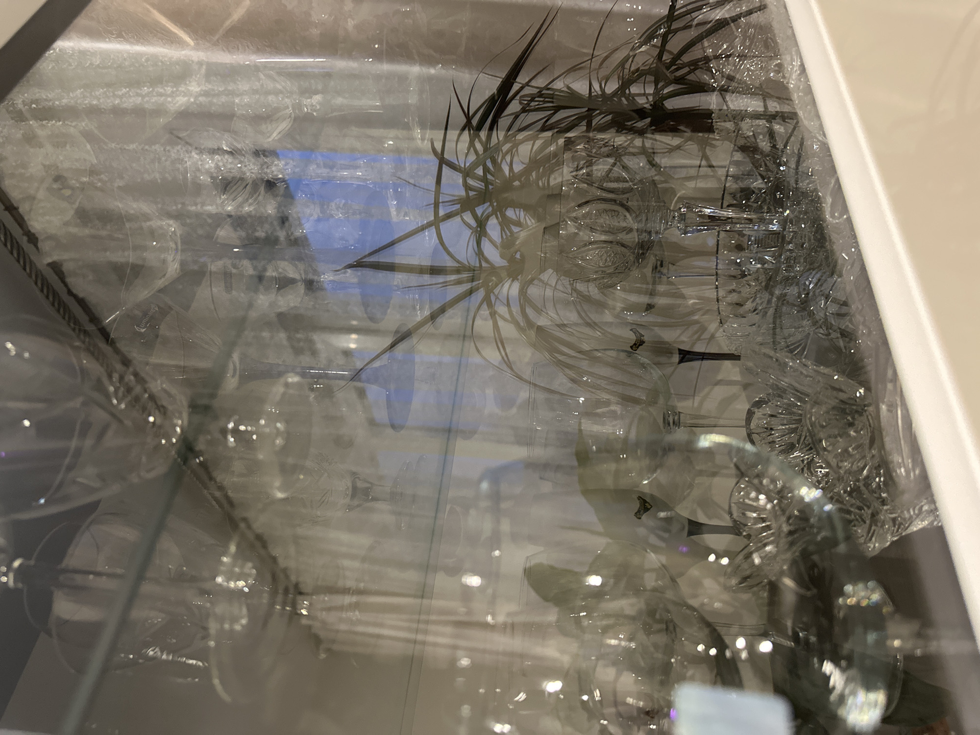 The image shows a cabinet filled with an assortment of glassware. A decorative plant with long, spiky leaves is placed among the glasses. The scene appears to be indoors, possibly within a home. There is no visible information that directly connects the image to the city of Chaikovsky, Russia.
