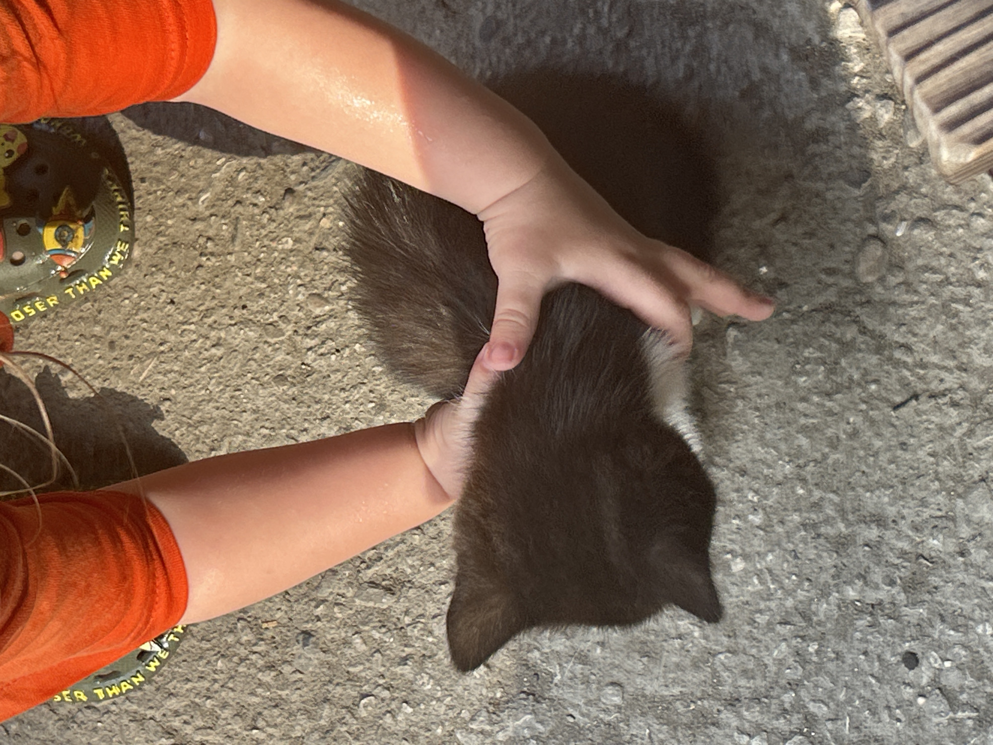The image shows a close-up aerial view of a young child's hands gently holding a small, fluffy black and white puppy. The child is wearing an orange shirt. The puppy's fur appears soft and dense, with a distinct black back and tail and a white chest and face. The child's hands are cupping the puppy from above and the side, indicating a caring interaction. The background is a rough, gray concrete surface, possibly a sidewalk or paved area, with scattered small stones and debris. The lighting suggests it is daytime, with some shadows present. The scene is taking place outdoors. The location in Prokhladny, Russia, is not visually indicated within the image itself.