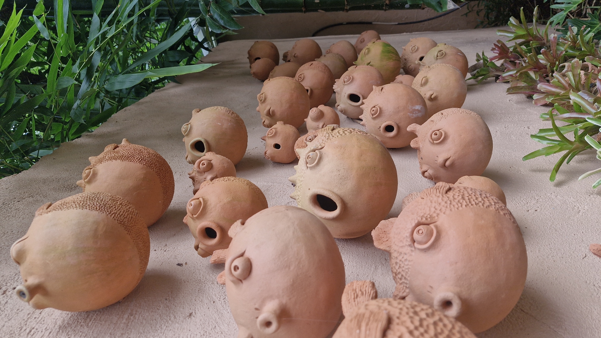 This is a close-up, eye-level, vertical shot of a wall decorated with multiple handcrafted terracotta pufferfish sculptures. The wall itself is a light tan, textured surface, likely stucco or concrete. The pufferfish are arranged in staggered rows and clusters, their rounded bodies and distinct facial features – bulging eyes, puckered mouths, and spiky dorsal fins – facing in various directions. Some have small, dark holes that appear to be the mouths, while others have protruding snout-like openings. The terracotta has a natural, unglazed finish, ranging in color from light beige to a warm, reddish-brown, with some showing subtle variations in tone and texture, including some with a speckled pattern around their sides.
In the upper right and far right of the image, lush green foliage, likely bamboo, cascades down, providing a natural backdrop. The lighting suggests it is daytime, with soft light illuminating the sculptures and casting subtle shadows. In the lower right, a few small, spiky green plants with reddish-purple accents are visible, suggesting the wall may be part of an outdoor garden or courtyard setting. The overall impression is one of whimsical, artisanal decoration.
This scene was photographed in the garden of a resort or private residence in Mae Rim, Thailand, as indicated by the distinctive bamboo growth and the style of the terracotta art commonly found in the region. There are no people or animals present in the image, and the focus is solely on the decorative elements mounted on the wall.