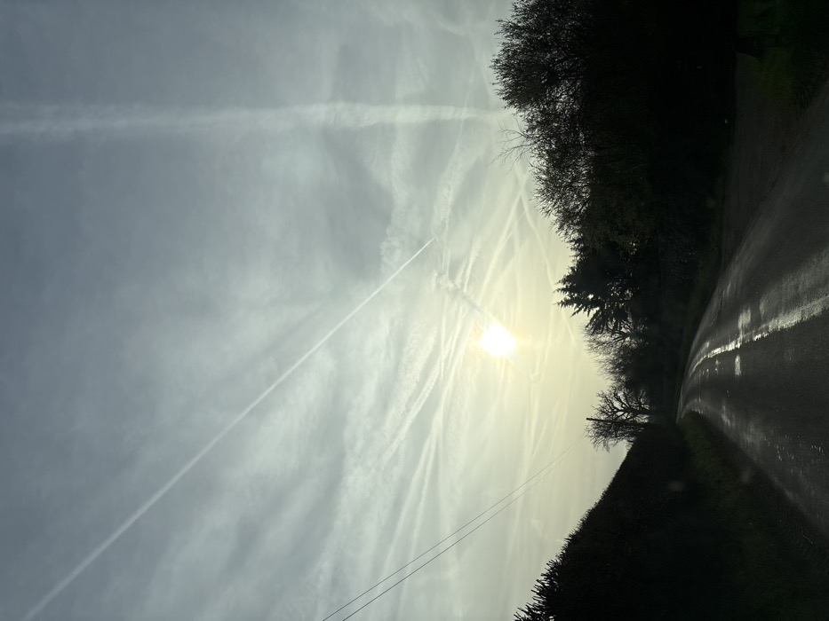 The image depicts a rural road scene in Ruyton-XI-Towns, United Kingdom, under an extensively contrail-streaked sky with a low sun. The sky, rendered in shades of light grey and pale blue, features numerous white aircraft contrails crisscrossing, forming a dense linear pattern across the upper half of the frame. The sun, a bright, diffuse white-yellow orb, is positioned low above the horizon, slightly left of the frame's center, creating a prominent glare.
In the foreground and mid-ground, a dark asphalt road curves gently to the right as it recedes into the distance. The road surface is visibly wet and highly reflective, particularly reflecting the sunlight in parallel streaks.
To the left of the road, a dense, dark green hedgerow forms a continuous barrier. Above the hedgerow, two dark, parallel utility wires extend diagonally from the upper-left corner towards the mid-left of the frame. To the right of the road, a line of dark, silhouetted trees, some appearing deciduous with bare branches and others evergreen, borders the roadway. No individuals, vehicles (other than the implied perspective of the photographer's vehicle), or specific actions are discernible within the visible environment.