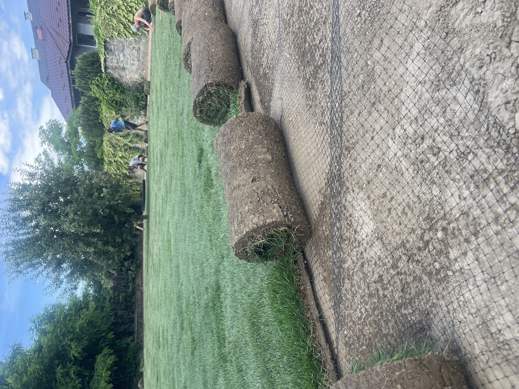 In Onokivtsi, Ukraine, a group of individuals is engaged in laying sod in a backyard. Several large rolls of freshly cut sod are positioned on a black mesh netting placed on the ground. The sod rolls are cylindrical, with visible grass and soil. In the background, the newly laid lawn is a vibrant green, contrasting with the darker, unrolled sod in the foreground. A few people are scattered across the lawn, appearing to be working on placing the sod. One individual in a blue shirt and dark shorts is standing, while others are crouched down. Behind the lawn, a stone wall covered in greenery forms a boundary, with a house featuring a tiled roof visible further in the distance. The sky above is partly cloudy. The scene depicts the process of landscaping and lawn renovation in a residential area.