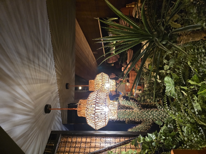 The image displays an indoor setting, identified as a restaurant or bar in Budva, Montenegro, characterized by a dense, verdant botanical arrangement and warm ambient lighting. Two cylindrical pendant lamps, crafted from woven material, are suspended from the ceiling in the mid-foreground, projecting distinct radial shadow patterns onto the pale ceiling surface. A third similar light is visible further back. The foreground and mid-ground are densely populated with various green plants, including ferns, ivy-like vines, broad-leafed flora, a prominent columnar cactus with visible spines, and a large spiky-leaved plant. In the background, several individuals are present in a dimly lit area. A male with light hair, wearing a dark top, is visible on the right, positioned near a counter or table, possibly engaging with items on it. Another individual is partially obscured behind the cactus on the left, and a third person is seated near the male on the right. The background features dark wooden wall paneling and a dark, grid-patterned partition on the far left. Cups or containers are visible on the counter surface near the individuals.