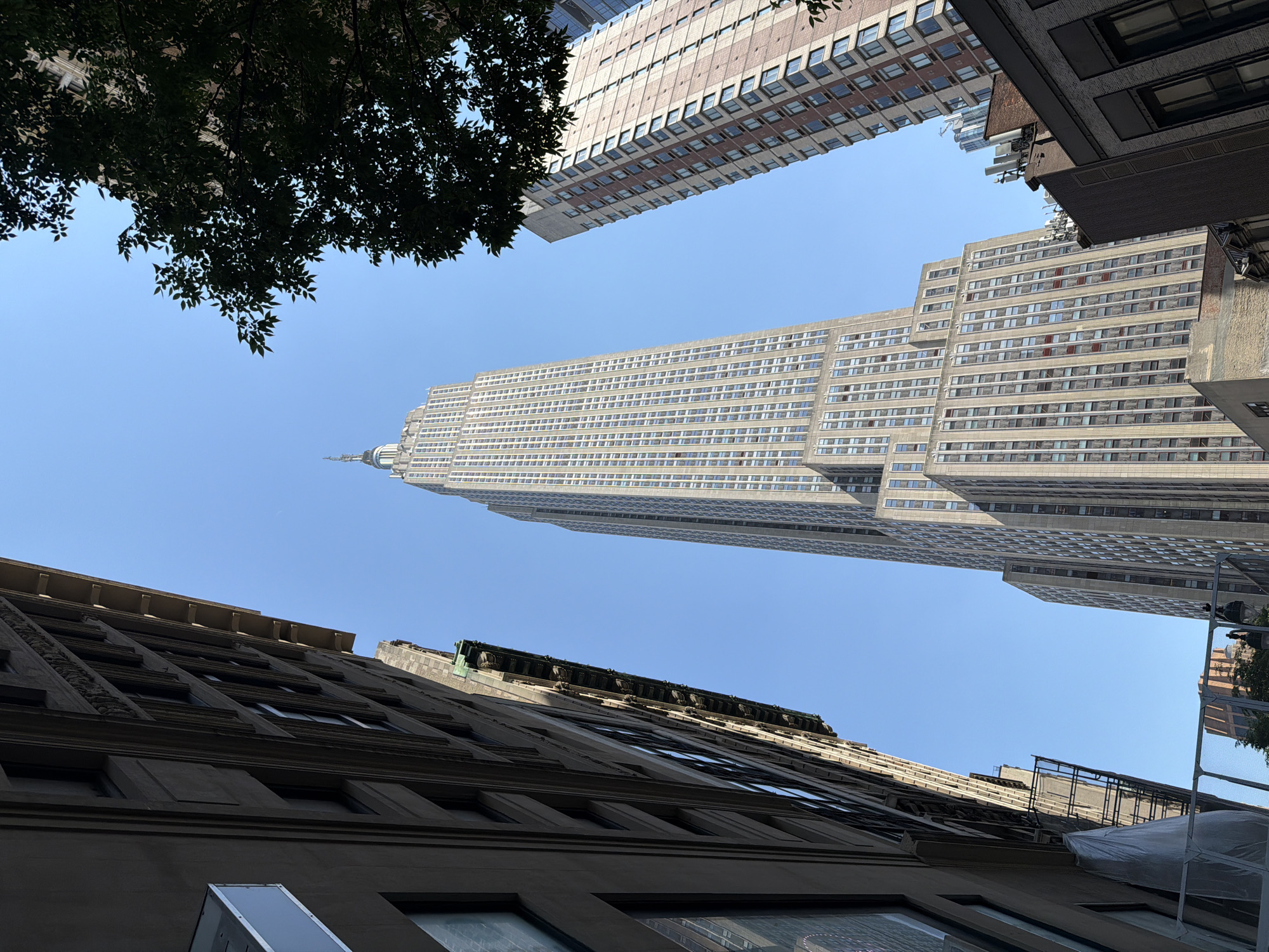 The image captures a low-angle view of buildings in New York City, United States of America, including the Empire State Building. The sky is clear and blue. The foreground shows the tops of buildings with architectural details like windows and ornamentation. A leafy tree branch is visible in the upper left corner. The Empire State Building dominates the view, rising high into the sky. Another tall building is partially visible at the top of the frame. Construction scaffolding is visible on one of the buildings.