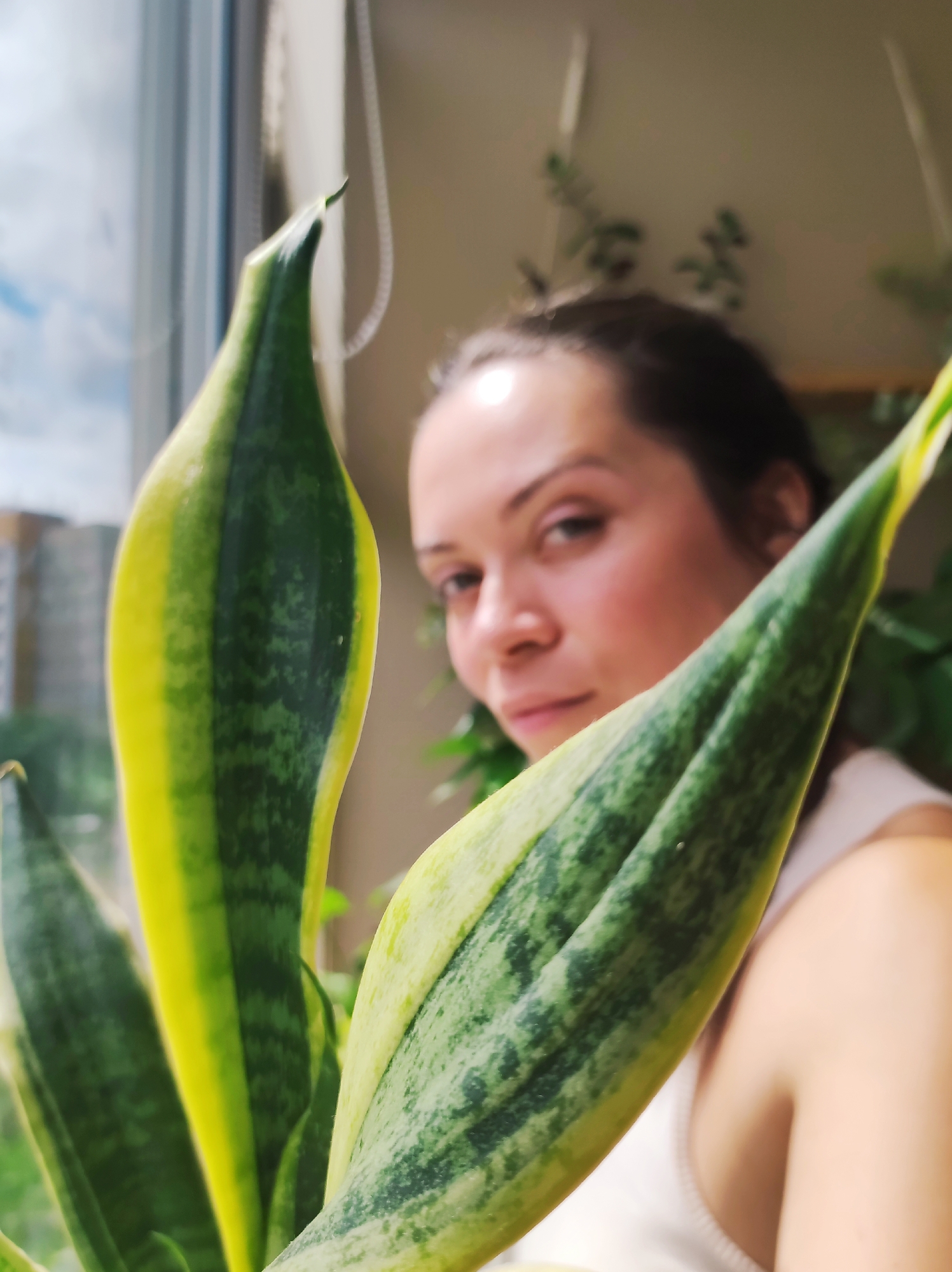 A medium close-up shot features a young adult with dark hair and brown eyes, blurred in the background, looking towards the camera. The subject is wearing a white top. In the foreground, out-of-focus, are the large, variegated green and yellow leaves of a snake plant. The plant is positioned near a window, suggesting an indoor setting. The background view through the window includes buildings, indicating an urban environment, likely in Chaikovsky, Russia, given the context. Natural light illuminates the scene.