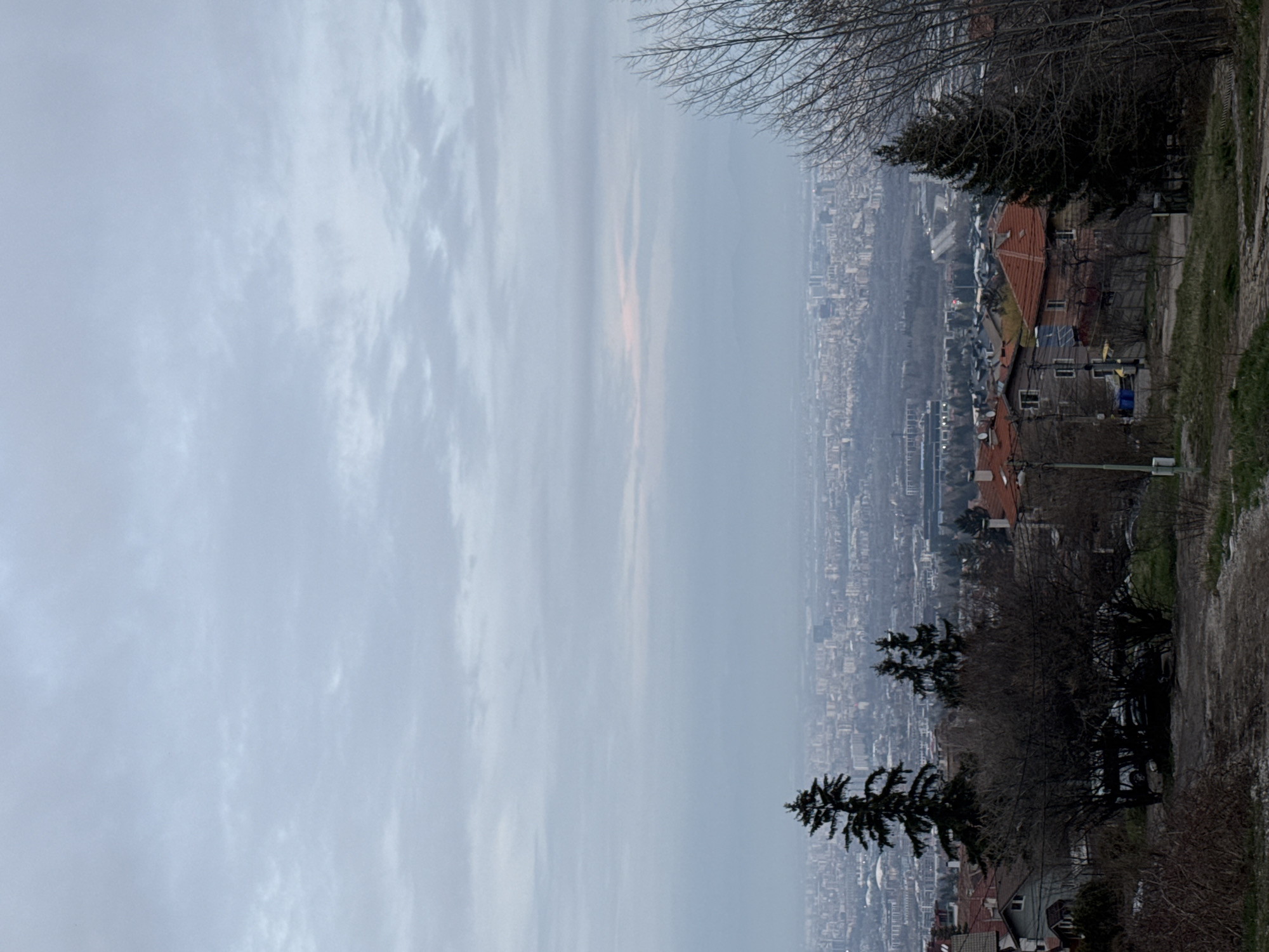 The image depicts a panoramic view of Sofia, Bulgaria, on a cloudy day. The city sprawls in the distance, shrouded in a slight haze. In the foreground, a tree line and rooftops of residential buildings are visible, suggesting the viewpoint is from an elevated position on the outskirts of the city. A dirt path runs along the edge of the frame. Bare tree branches reach into the sky.