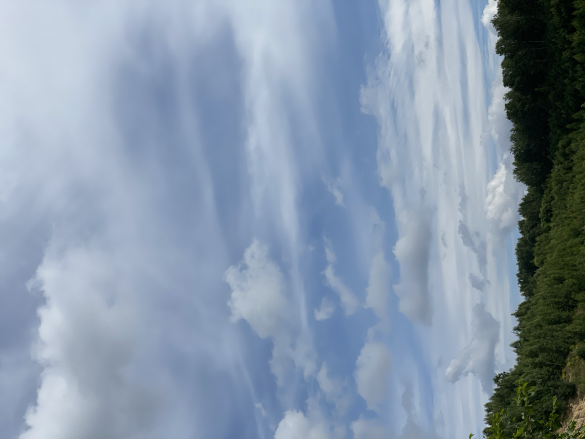 The image captures a view of the sky and a tree line, with the foreground showing some sand and greenery. The sky is filled with various types of clouds, ranging from wispy, horizontal streaks to larger, fluffier formations. The clouds are illuminated by sunlight, creating a dynamic play of light and shadow. Below the sky, a dense line of green trees stretches across the frame, suggesting a forest or wooded area. In the lower left corner, a slope of sandy earth is visible, with some green foliage at the very edge. The scene appears to be a natural landscape, likely in or around Plintovka, Russia, given the context. There are no people or specific actions depicted in the image. The environment is characterized by the contrast between the open sky and the densely packed trees.