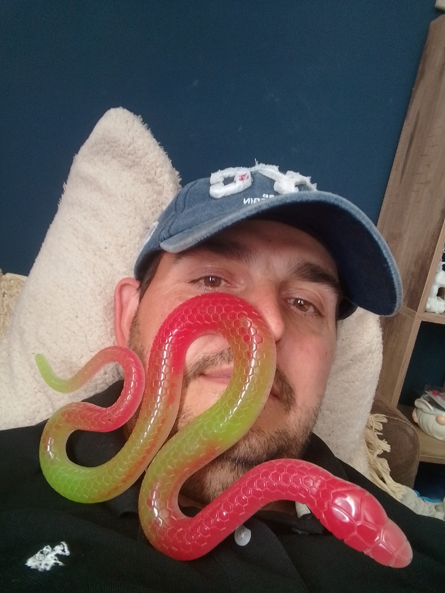 The image shows a close-up, frontal, selfie-style view of a person wearing a blue baseball cap and a black polo shirt. A red and green segmented toy snake is draped across the person's face, covering their nose and mouth. The person has brown eyes and facial hair. Behind the person, a textured, off-white pillow is visible, and further in the background, a dark blue wall and a wooden shelf with decorative items can be seen. The person is likely at home. The image does not provide any specific information about the city of Wedel, Germany.